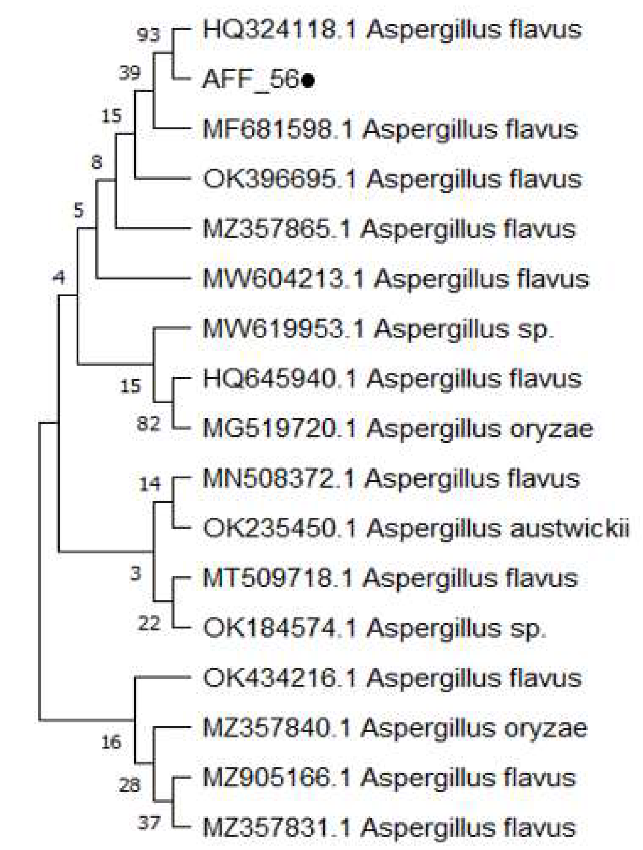 Molecules 27 04461 g002 550