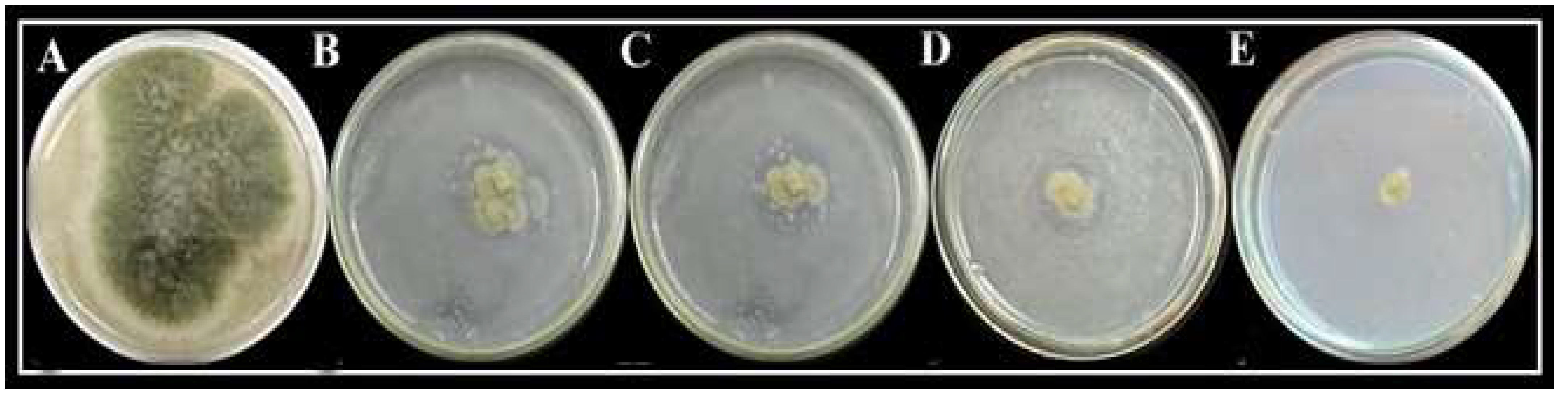 Molecules 27 04461 g006 550