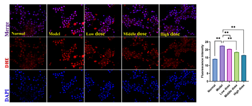 Molecules 27 04463 g011