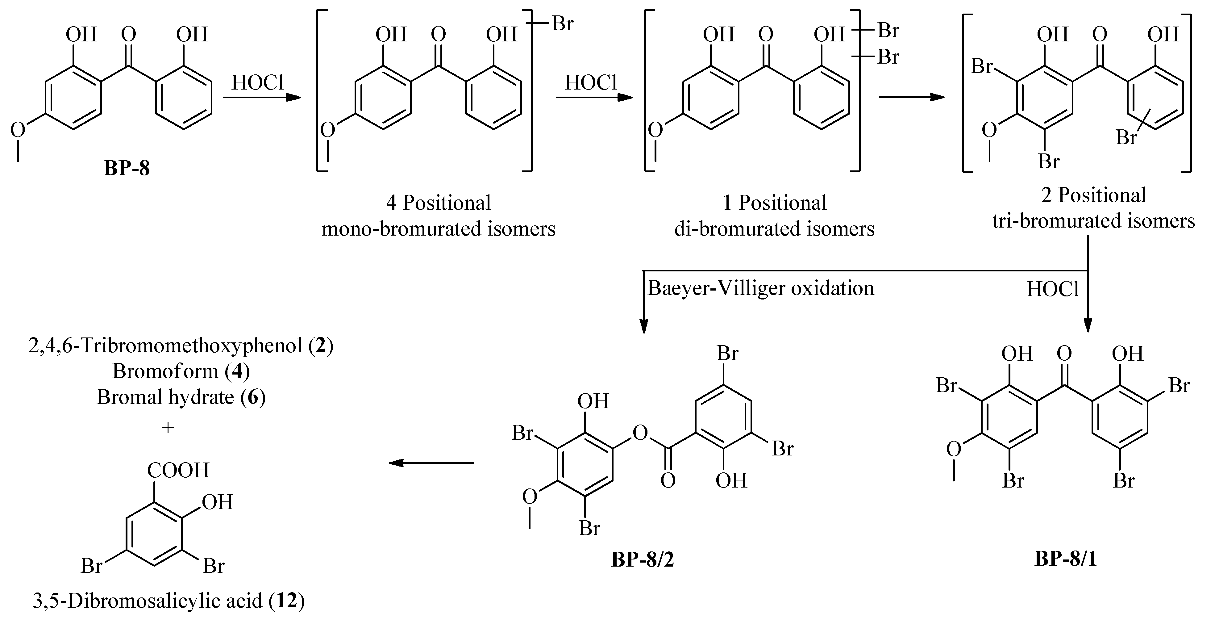 Molecules 27 04467 sch005