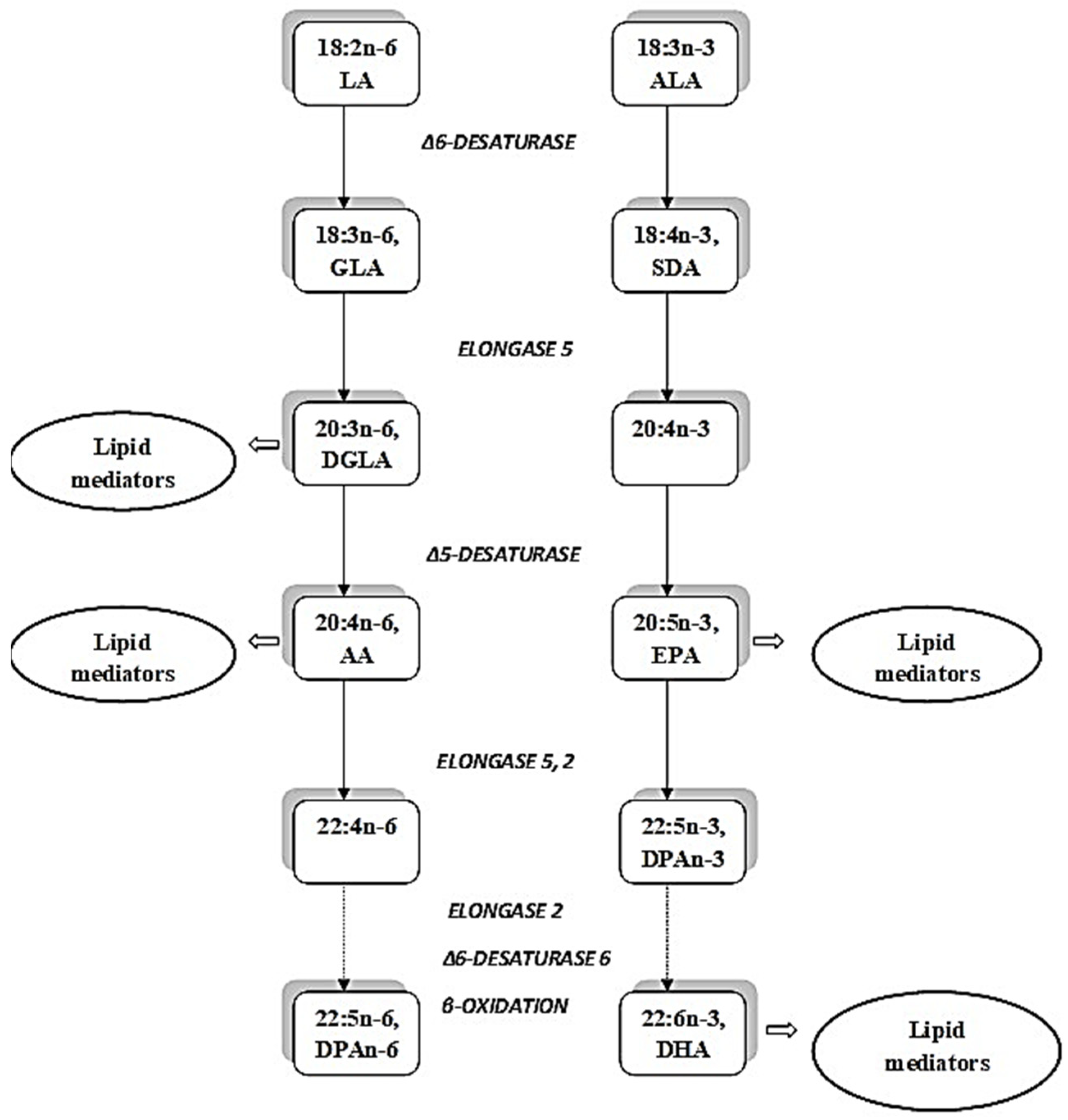 Molecules 27 04471 g001