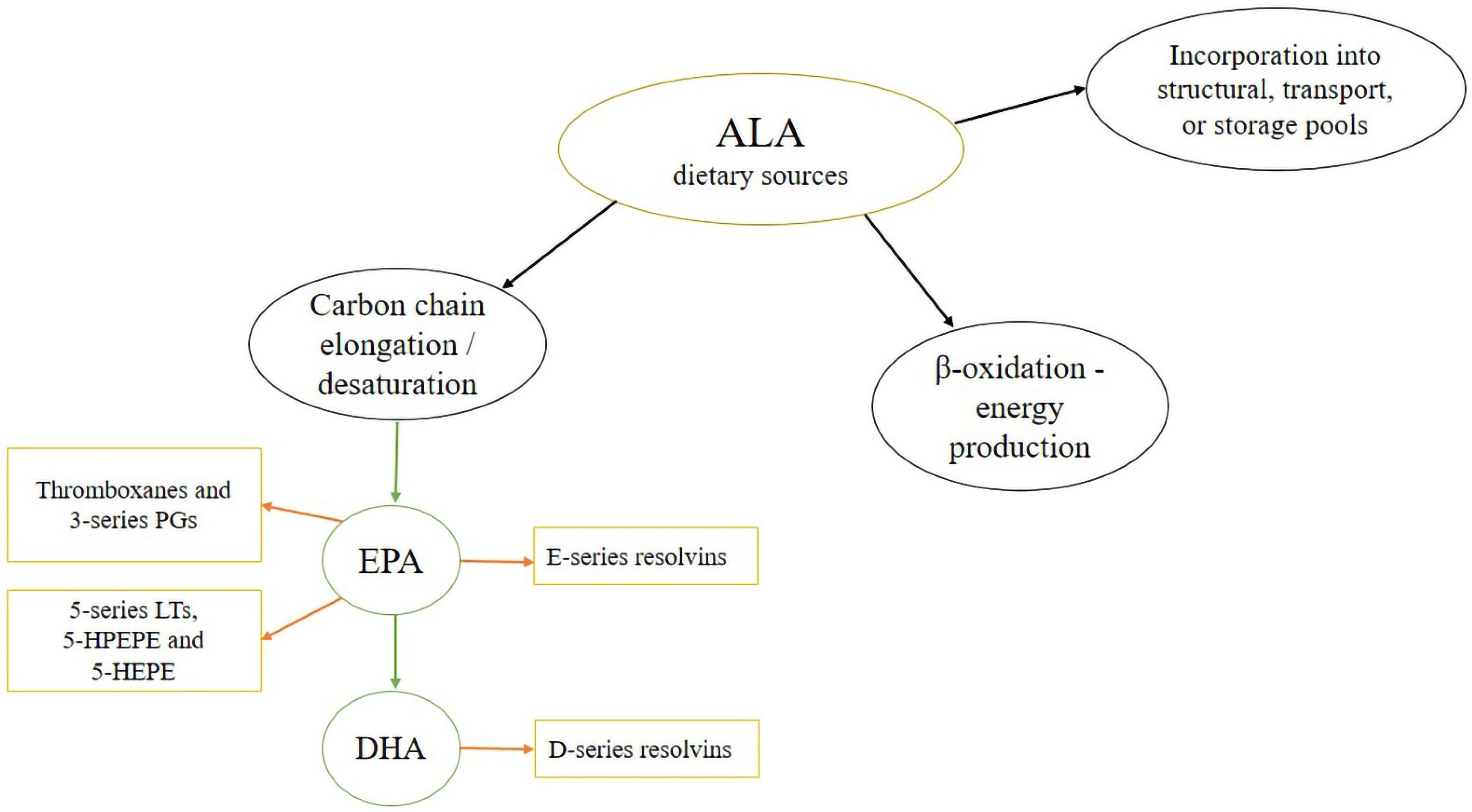 Molecules 27 04471 g003