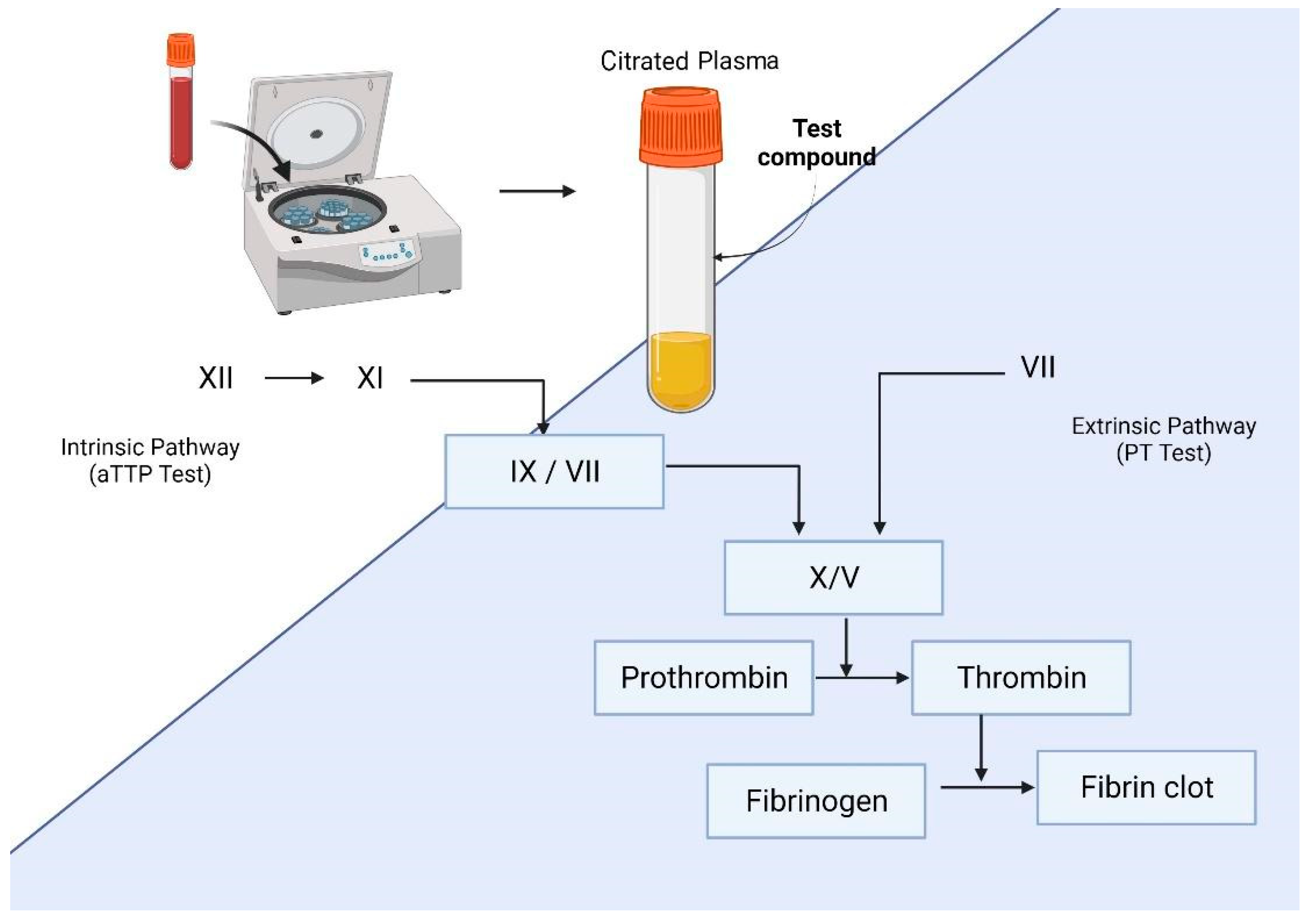 Molecules 27 04490 g004 Molecules 27 04490 g004