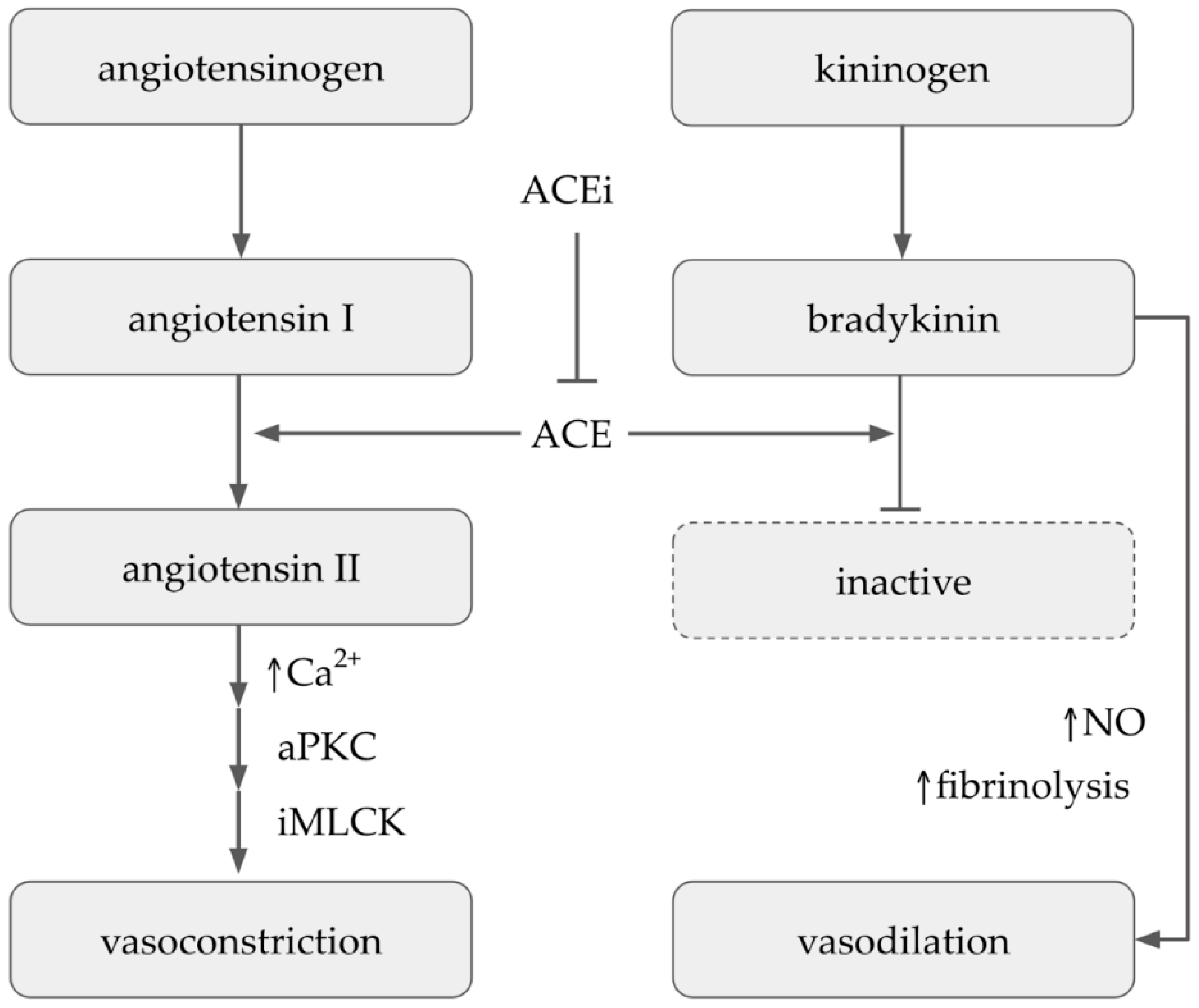 Molecules 27 04490 g006 Molecules 27 04490 g006