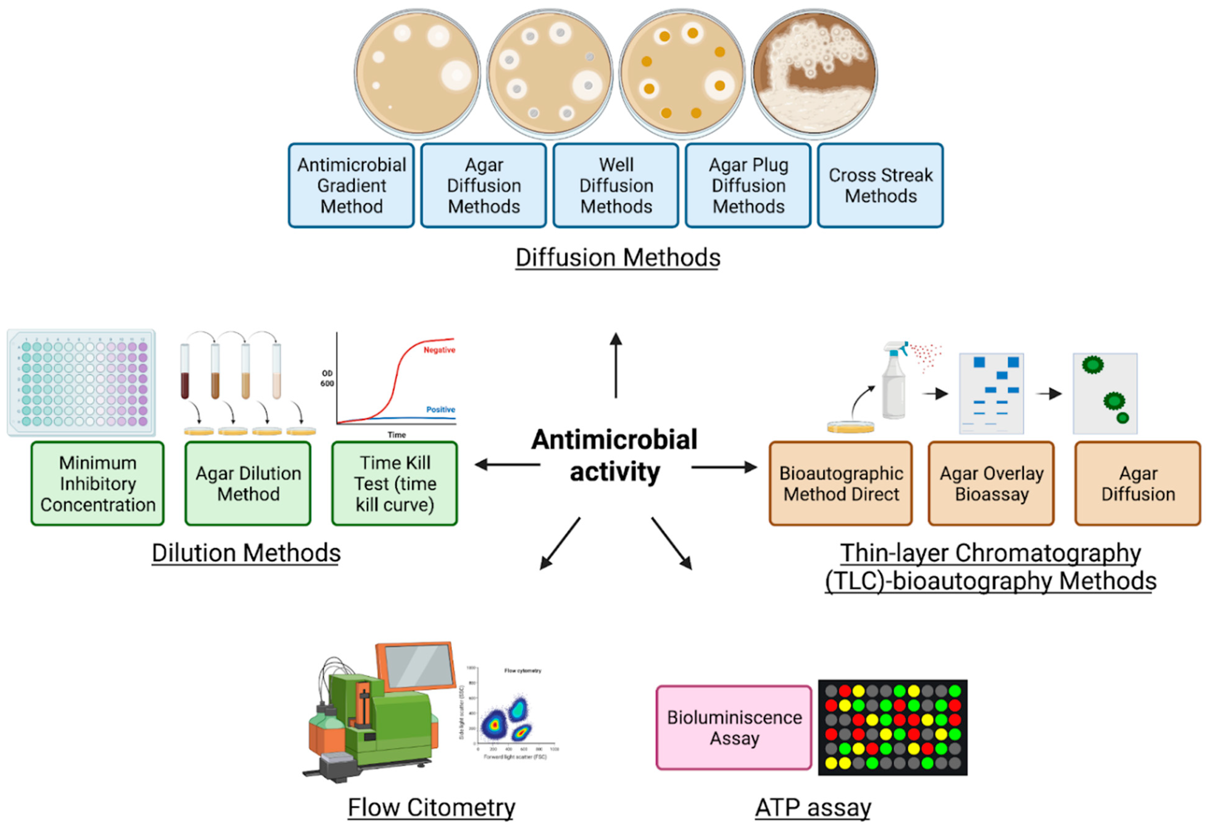 Molecules 27 04490 g007 Molecules 27 04490 g007