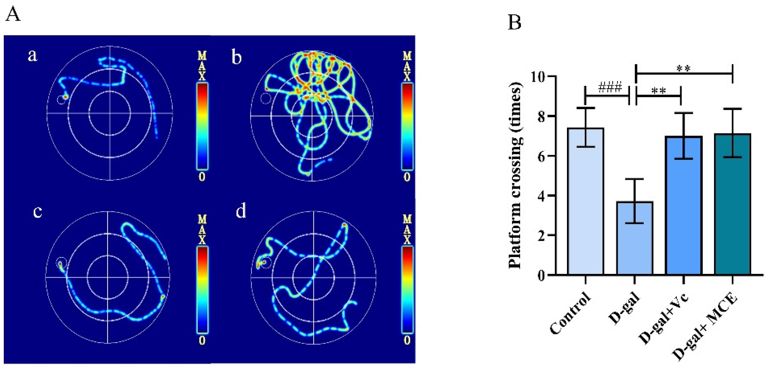 Molecules 27 04502 g004 Molecules 27 04502 g004