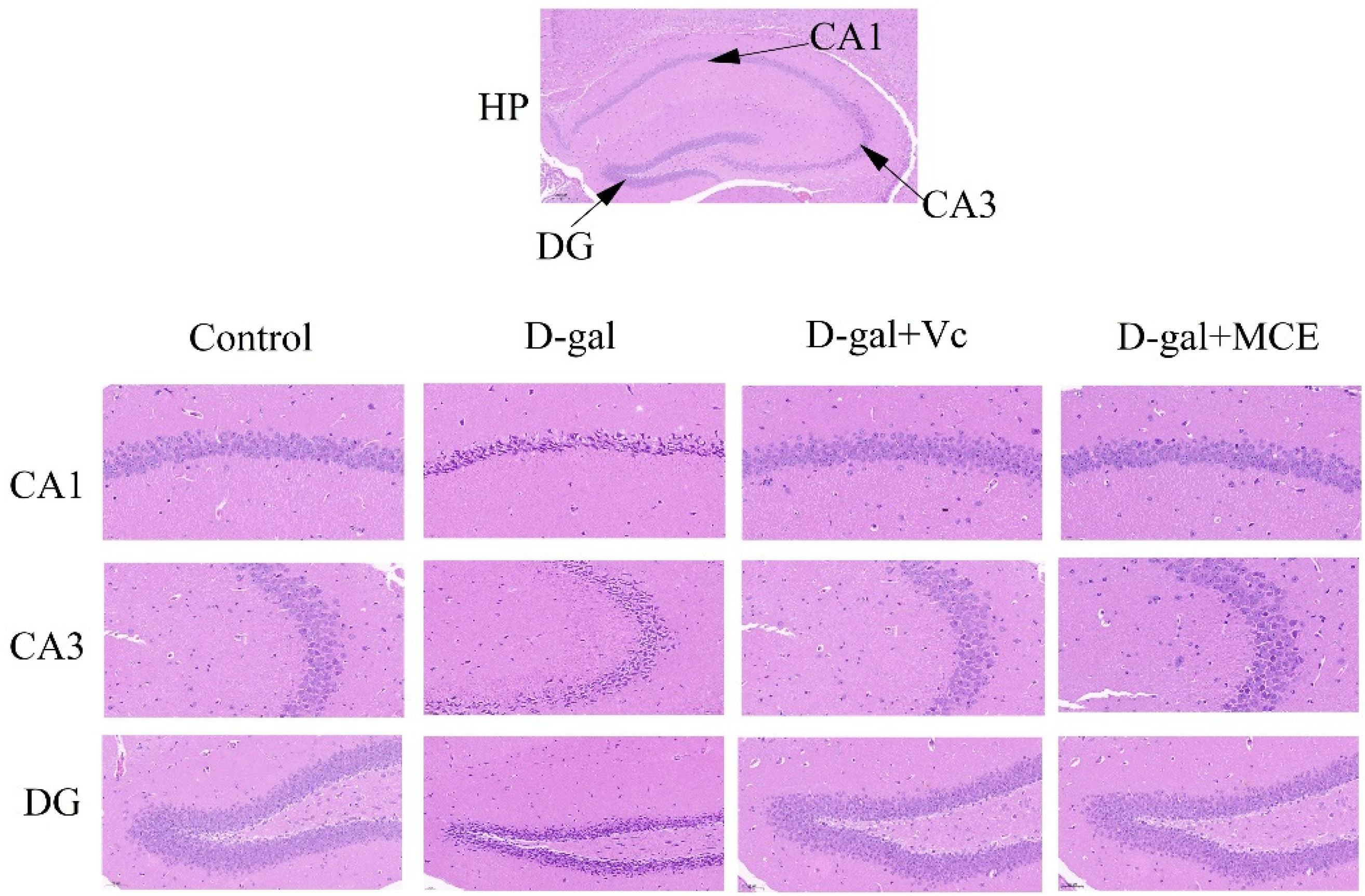Molecules 27 04502 g006 Molecules 27 04502 g006