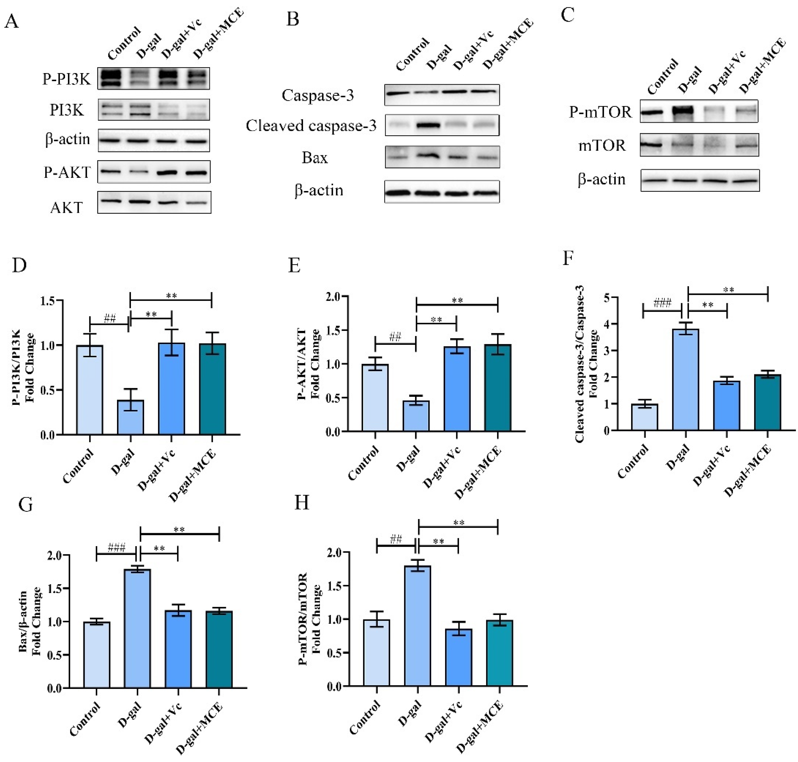 Molecules 27 04502 g007 Molecules 27 04502 g007