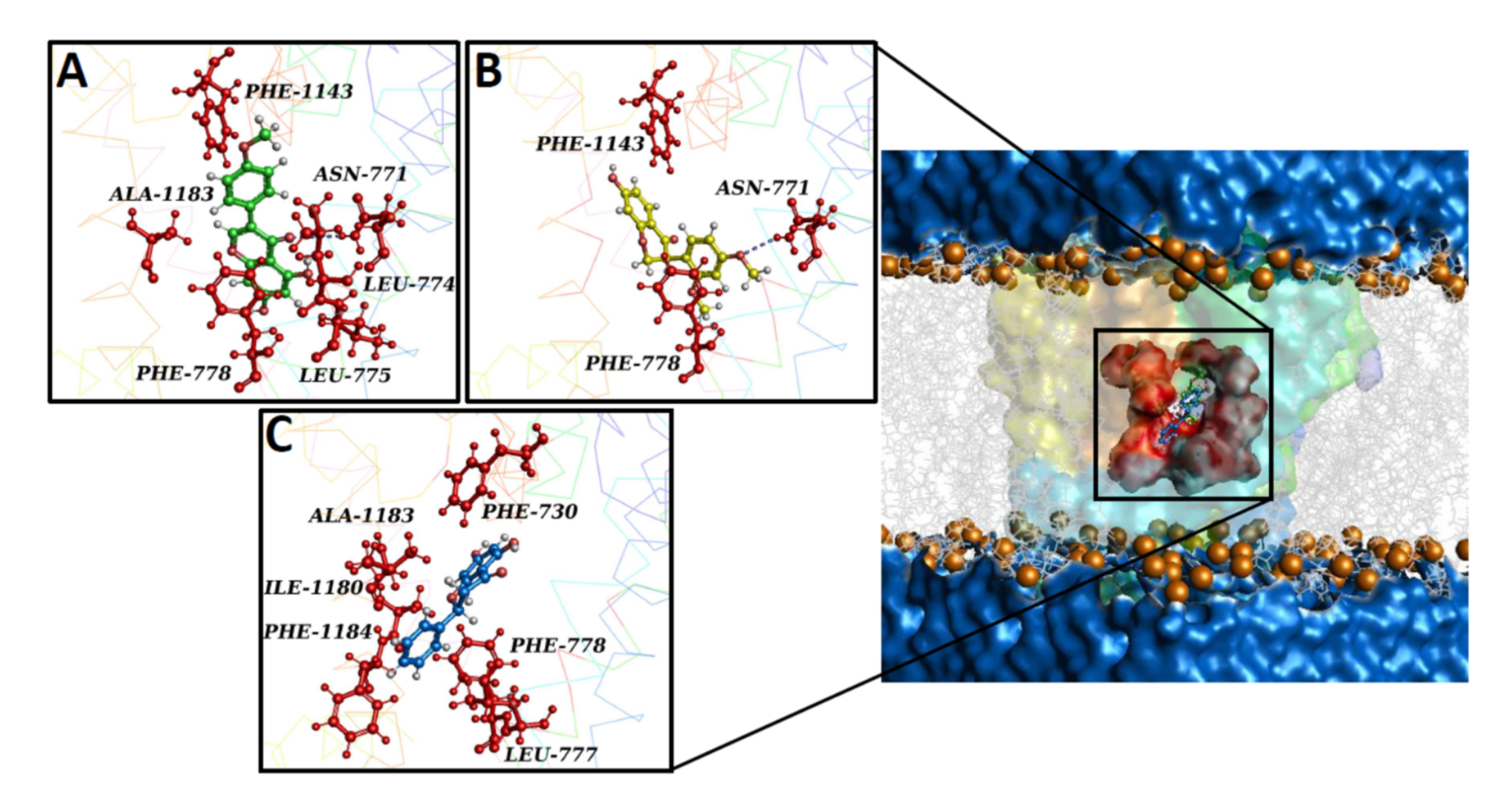 Molecules 27 04505 g007a 550