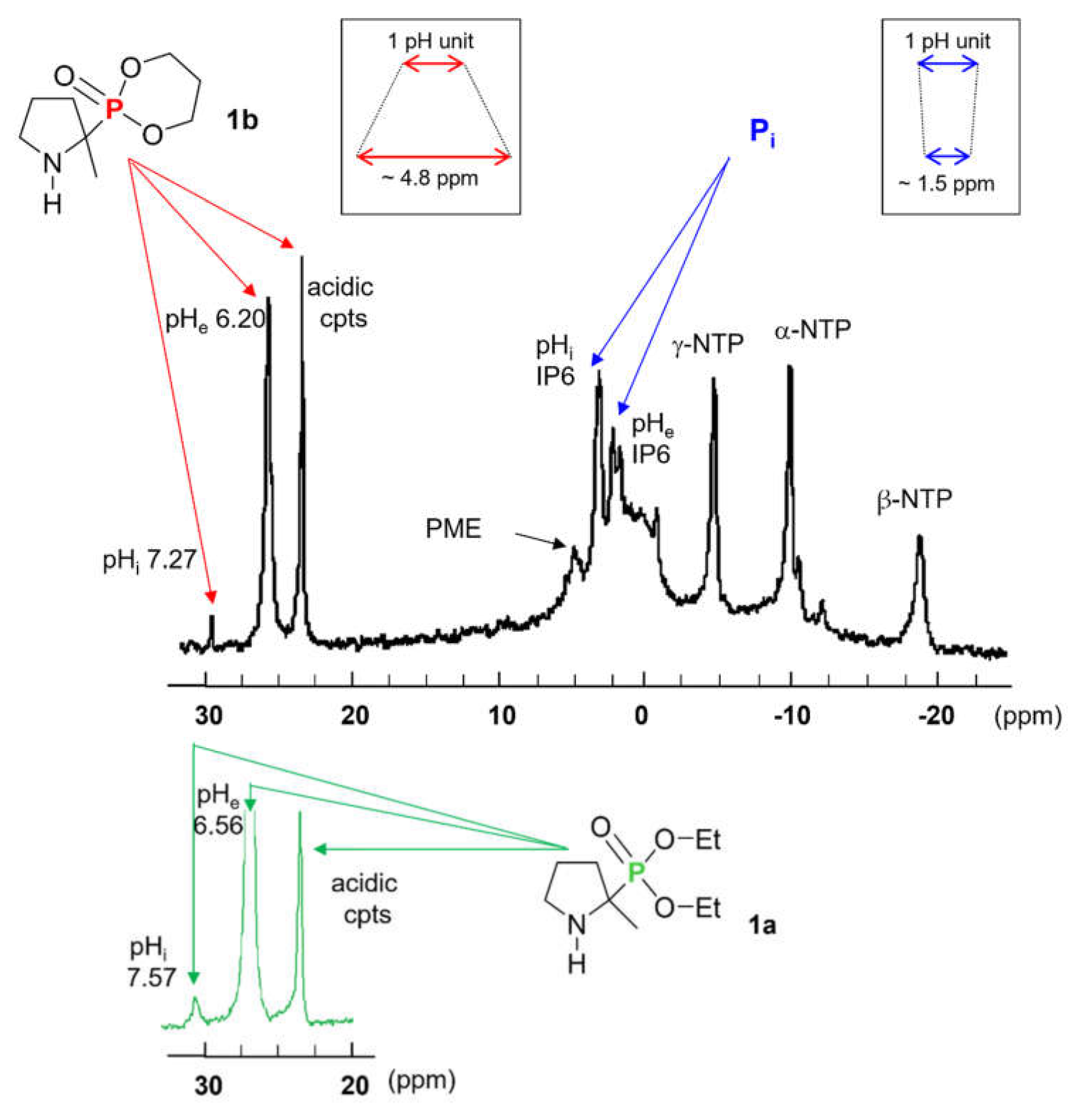 Molecules 27 04506 g006