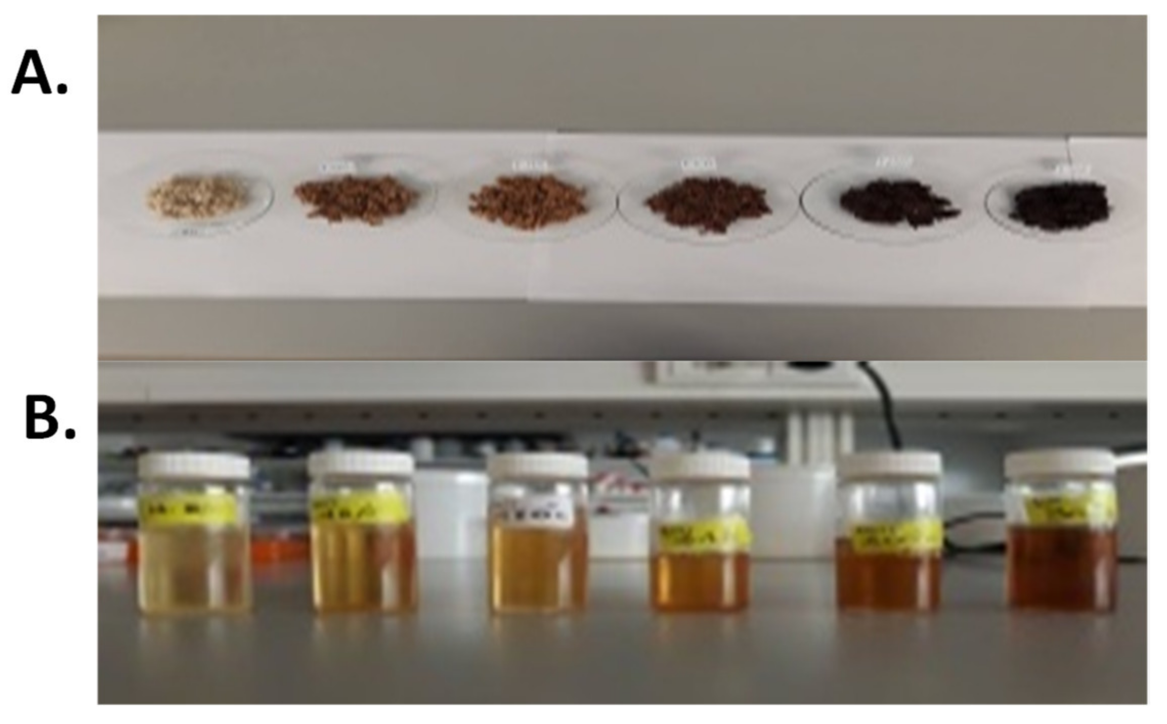 Molecules Free FullText Effects of Seed Roasting Temperature on
