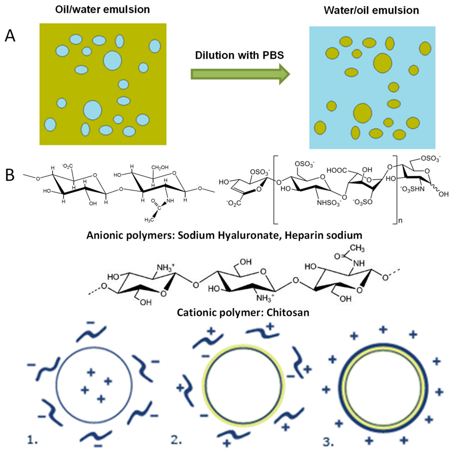 Molecules 27 04512 g001