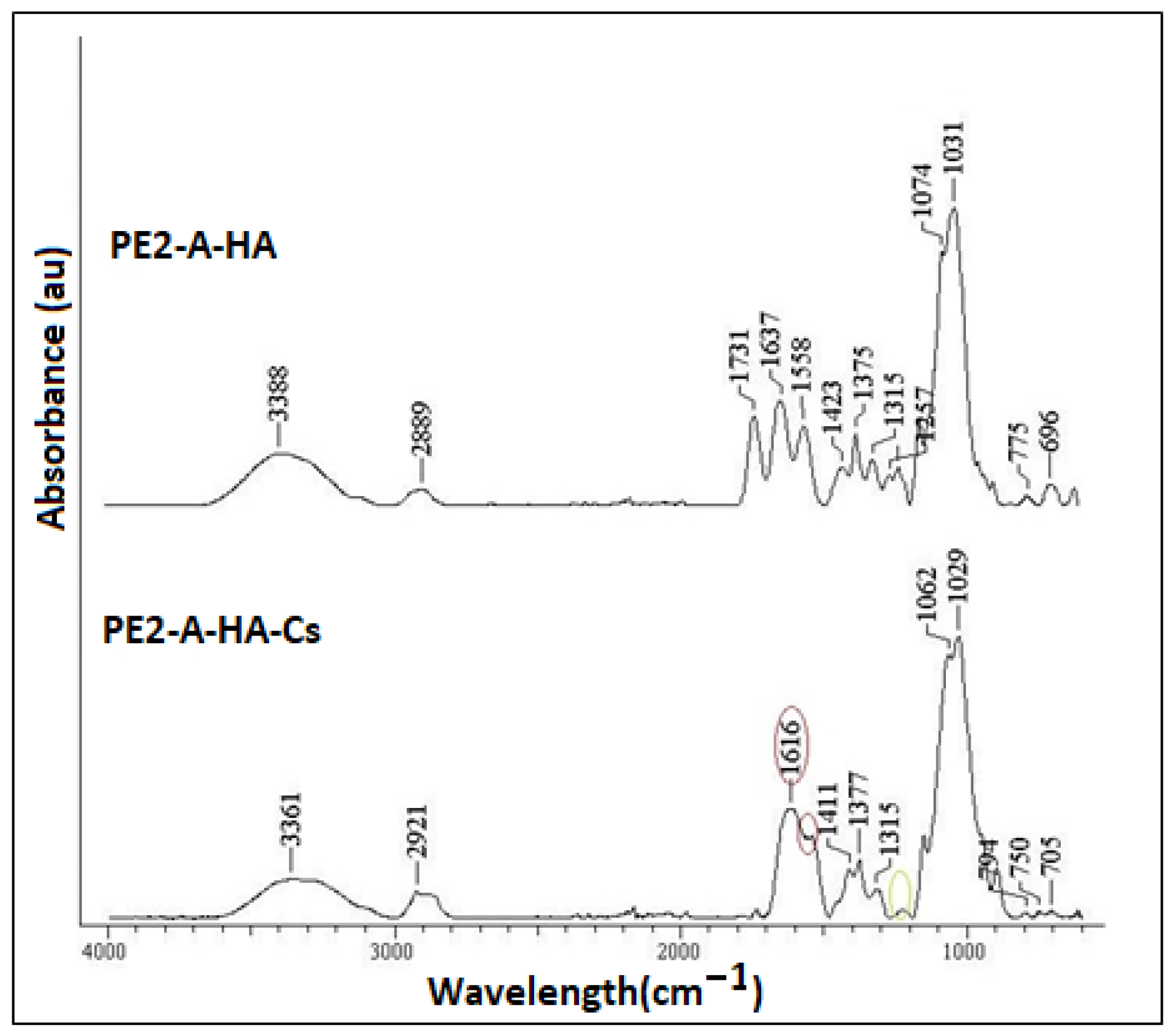 Molecules 27 04512 g005