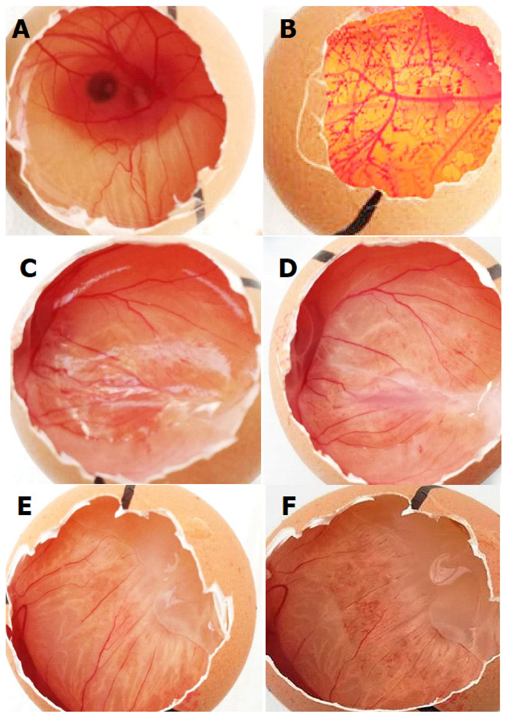 Molecules 27 04512 g011