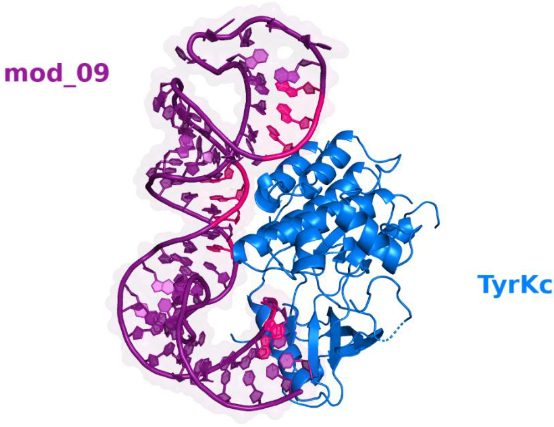 Molecules 27 04518 g003