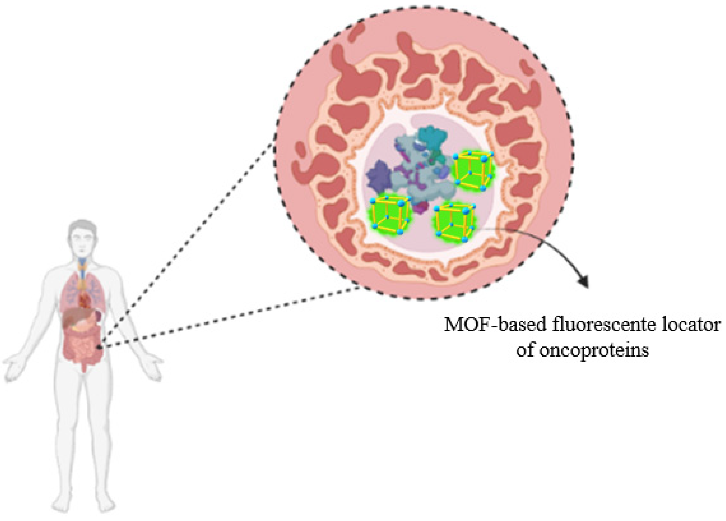Molecules 27 04529 g008