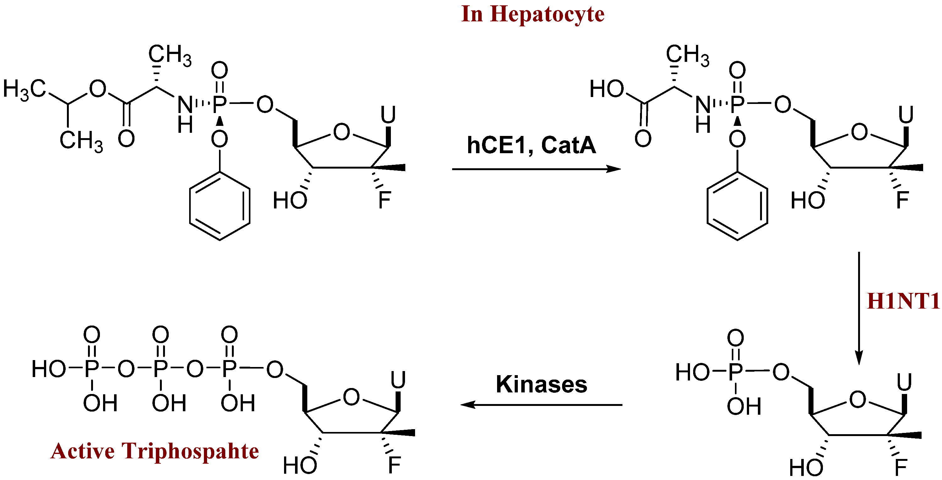 Molecules 27 04530 g002