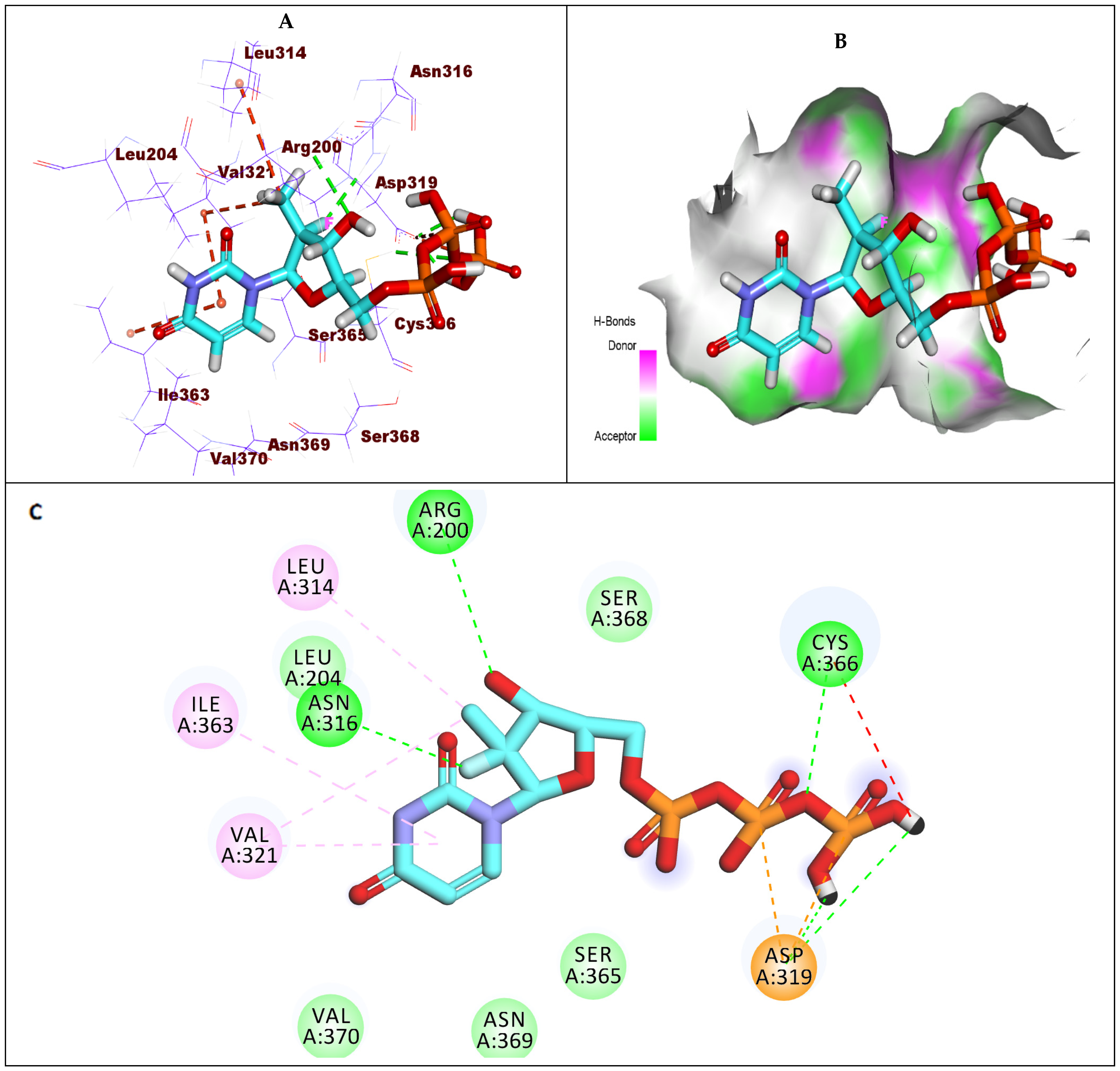 Molecules 27 04530 g010