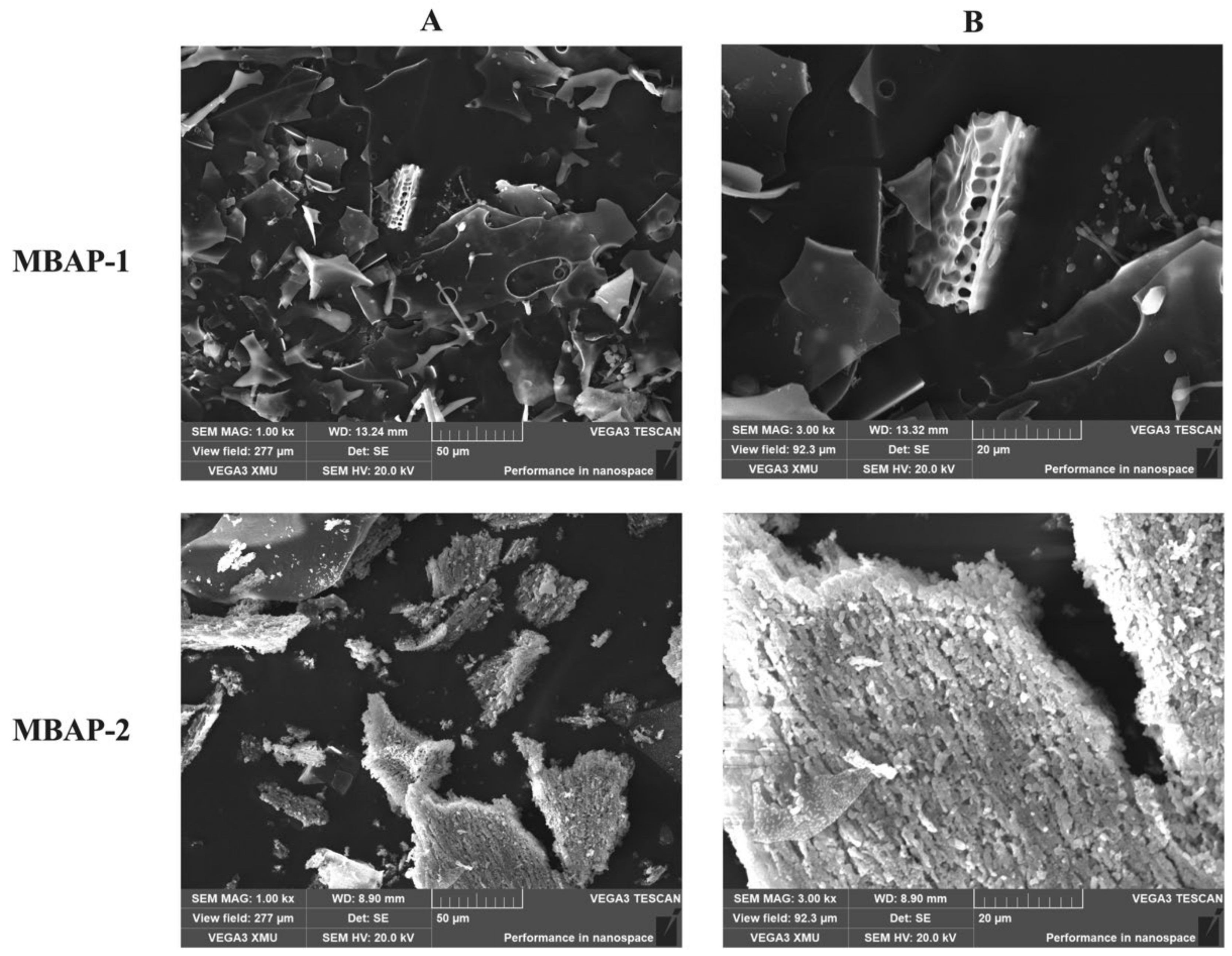 Molecules 27 04532 g006