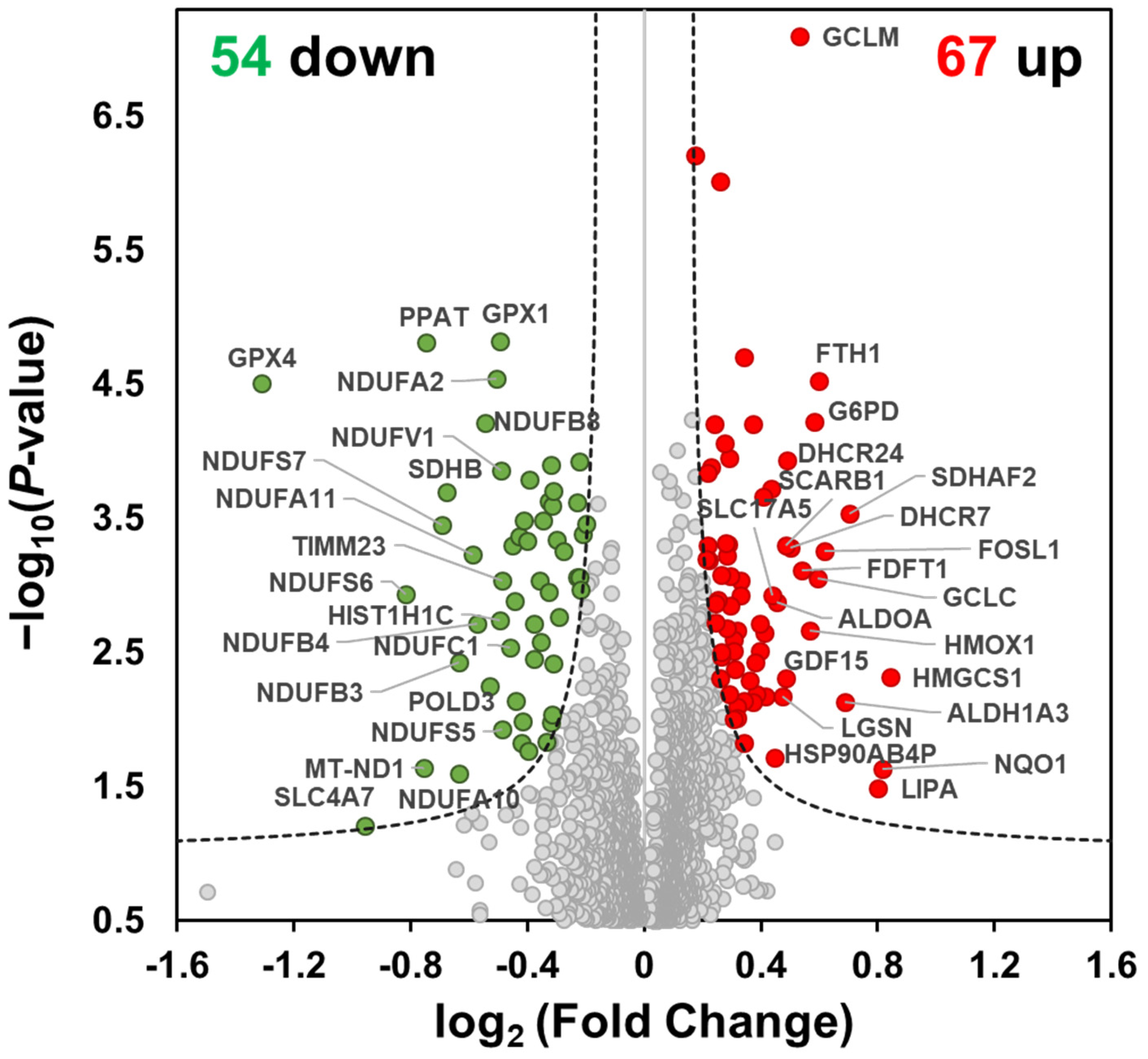Molecules 27 04533 g002