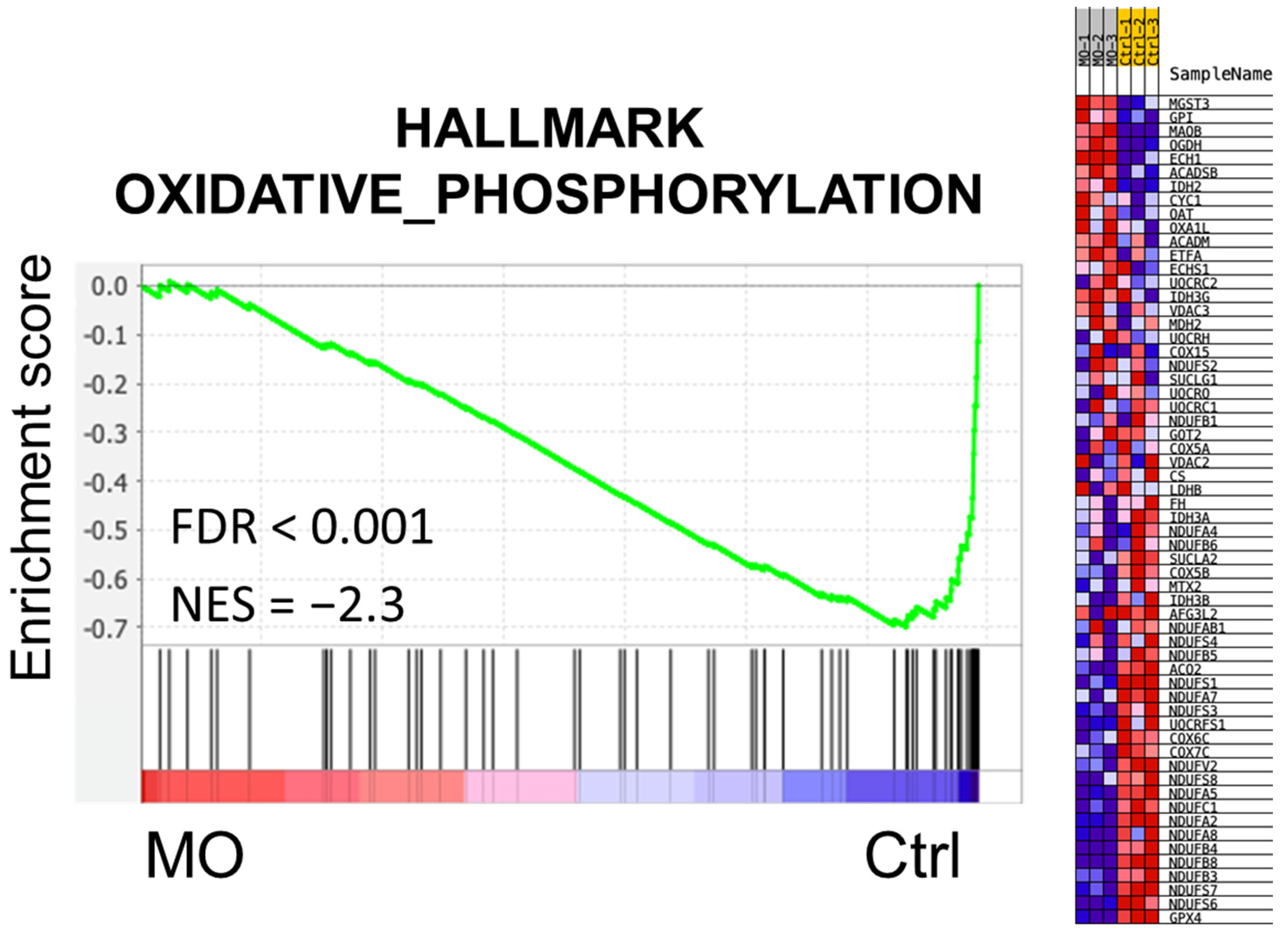 Molecules 27 04533 g004