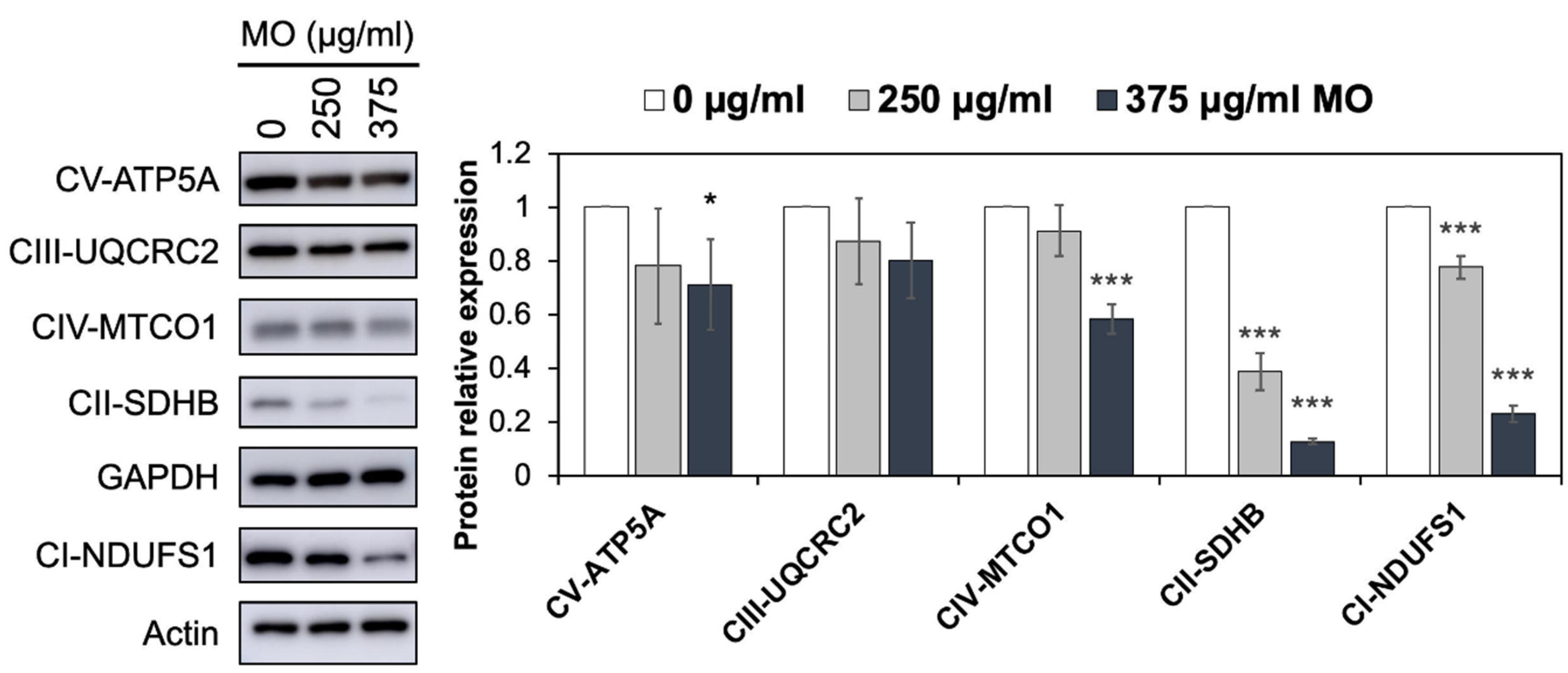 Molecules 27 04533 g005