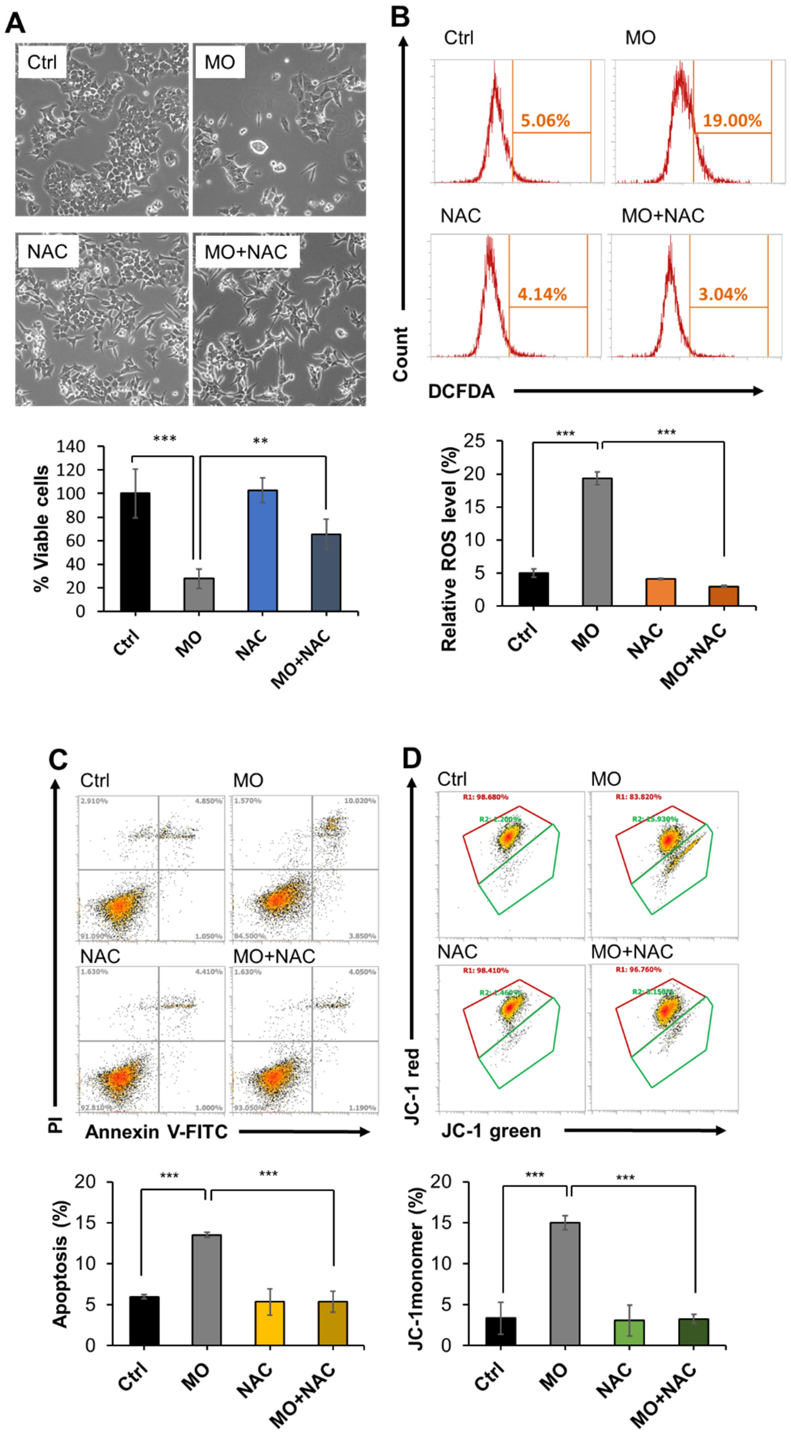 Molecules 27 04533 g006a