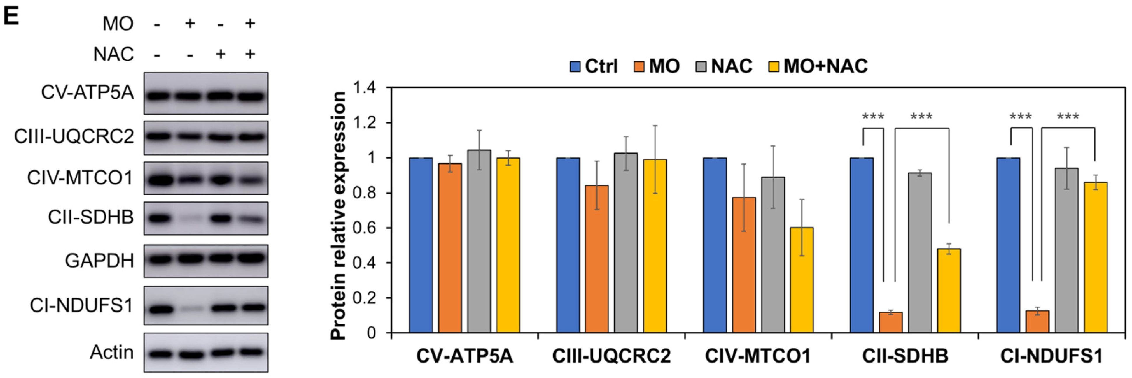 Molecules 27 04533 g006b