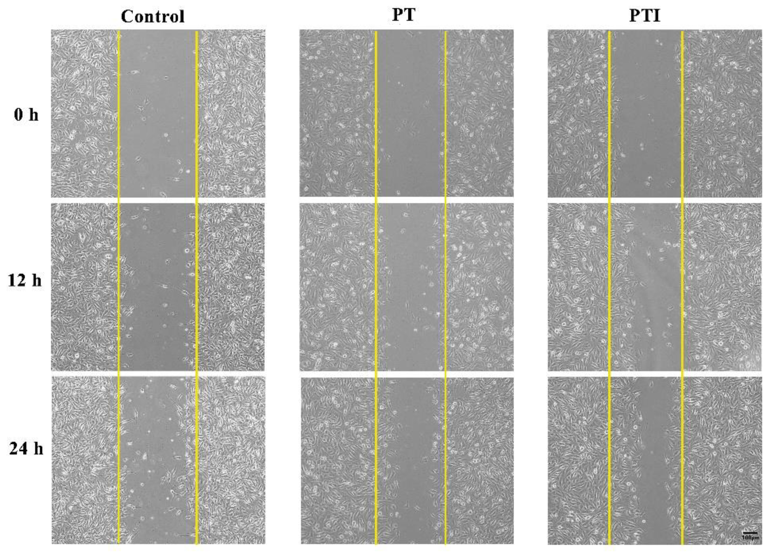 Molecules 27 04535 g007