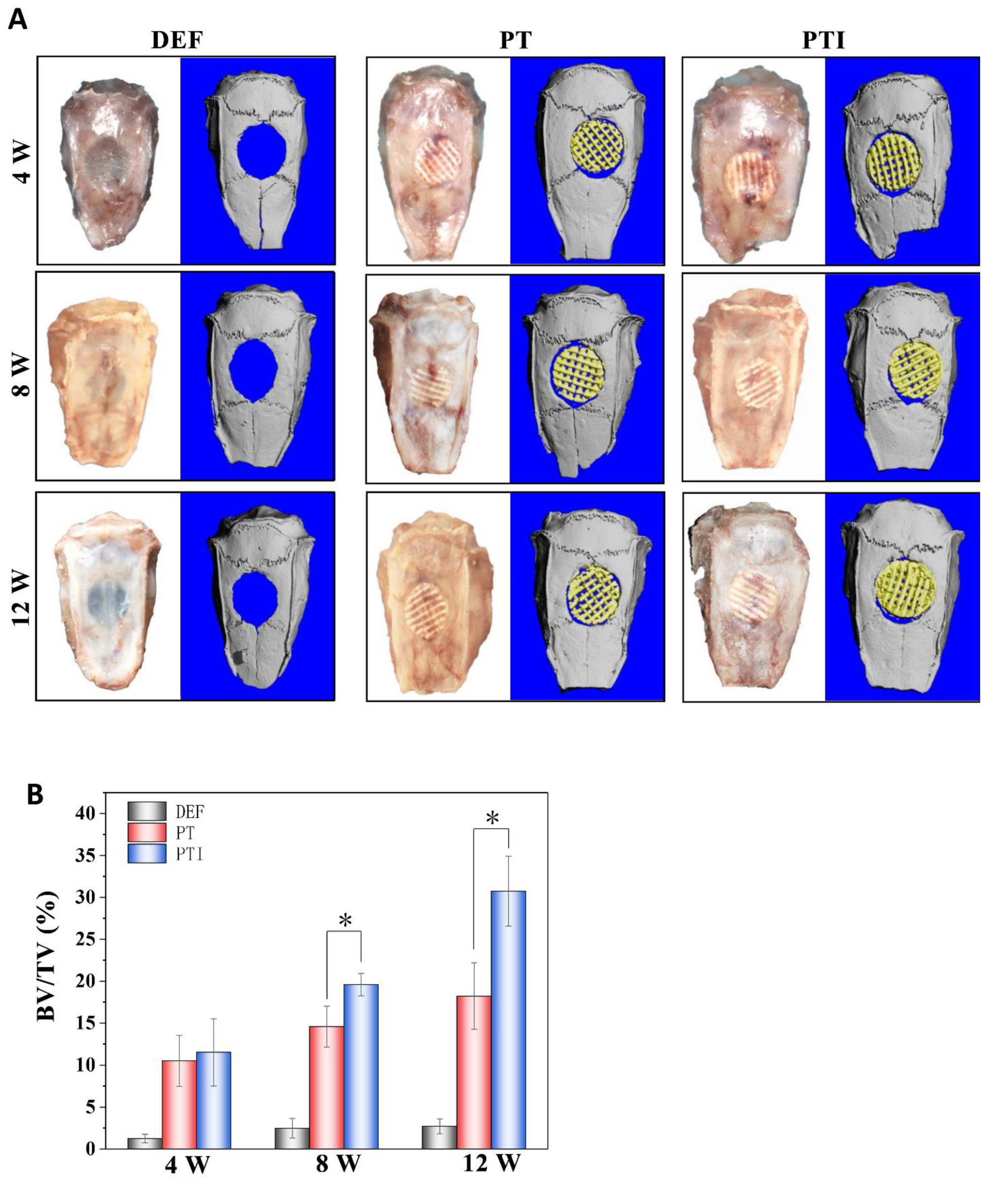 Molecules 27 04535 g011