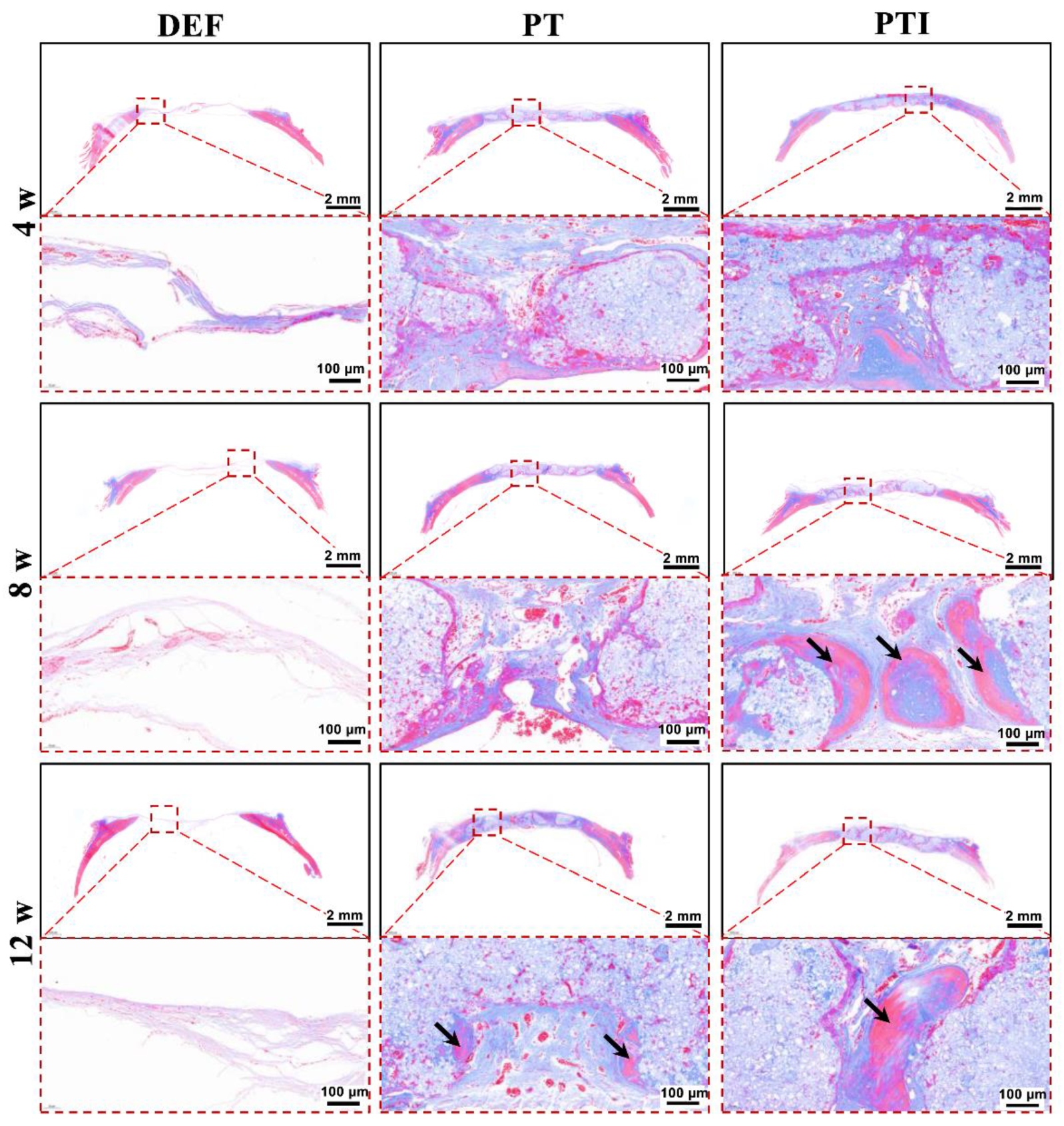 Molecules 27 04535 g013