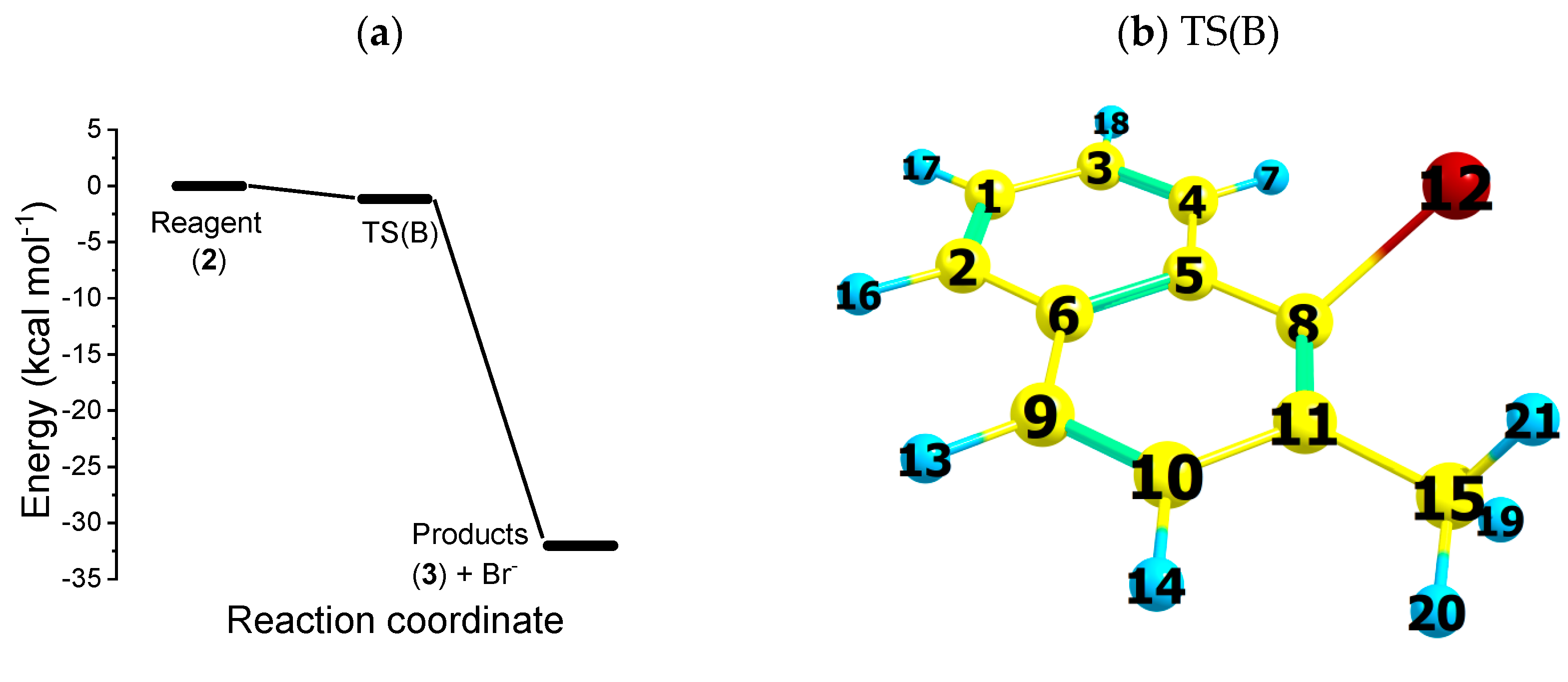 Molecules Free FullText On the Dynamics of the CarbonBromine Bond