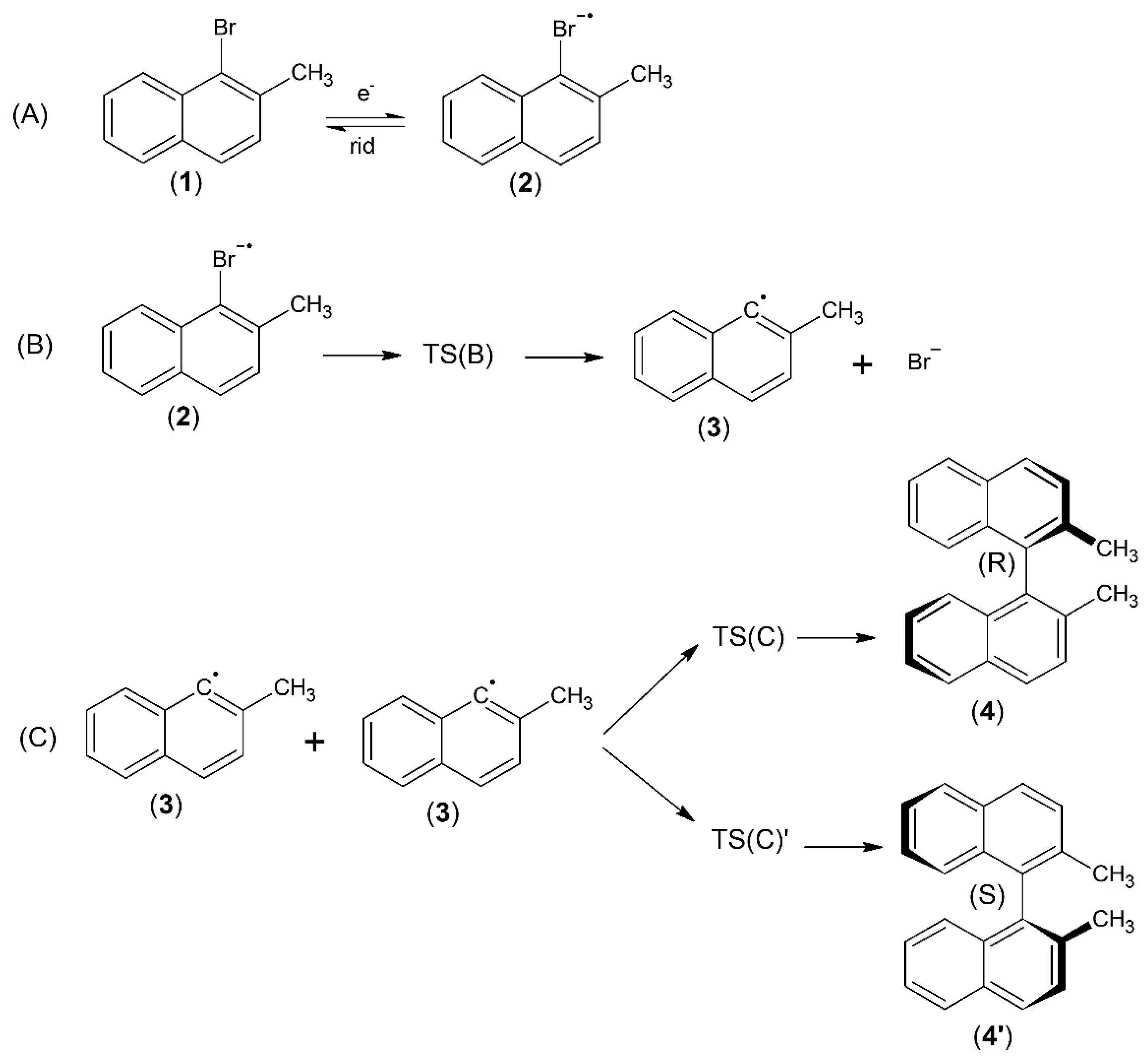 Molecules Free FullText On the Dynamics of the CarbonBromine Bond Dissociation in the 1