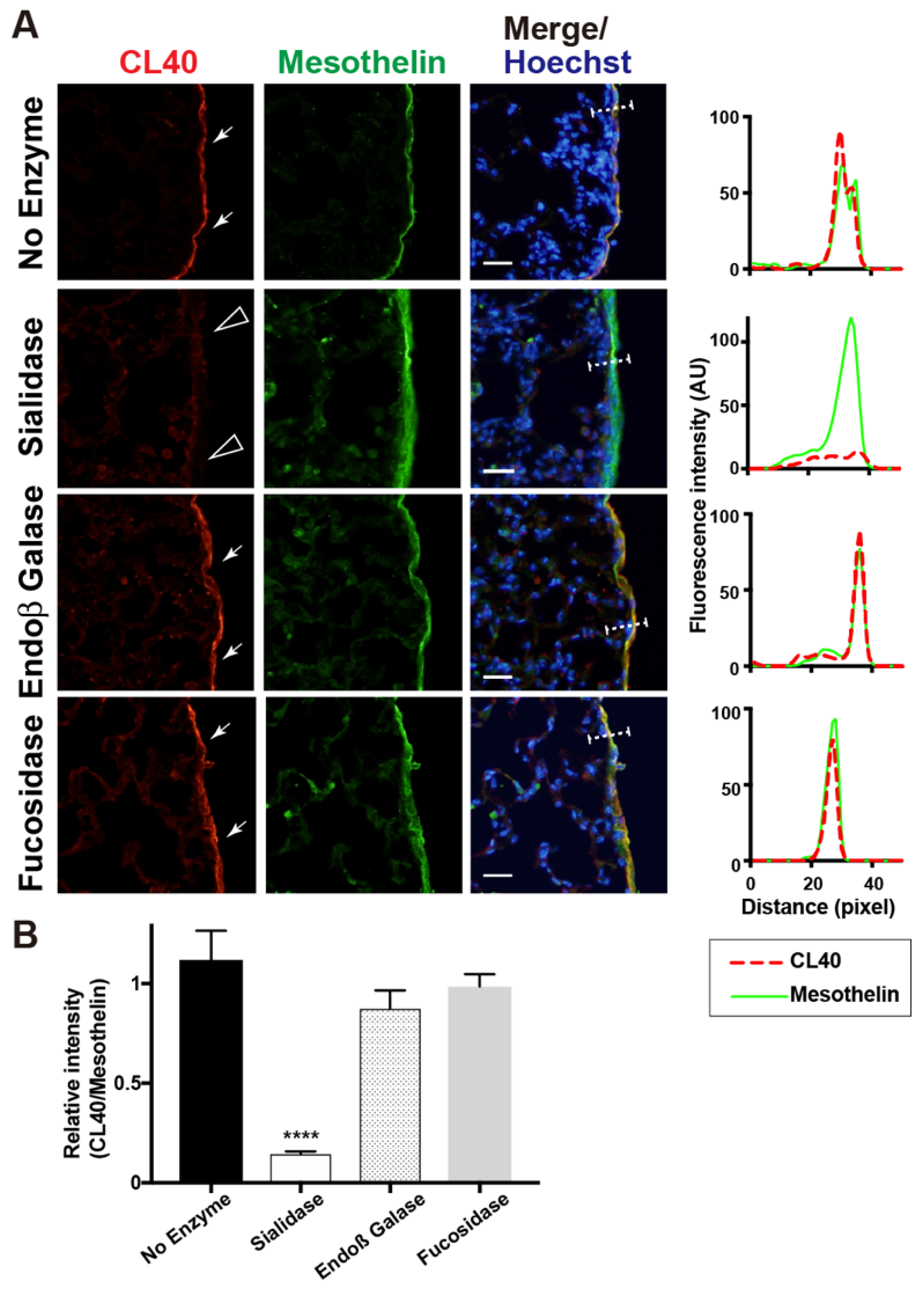 Molecules 27 04543 g002 Molecules 27 04543 g002