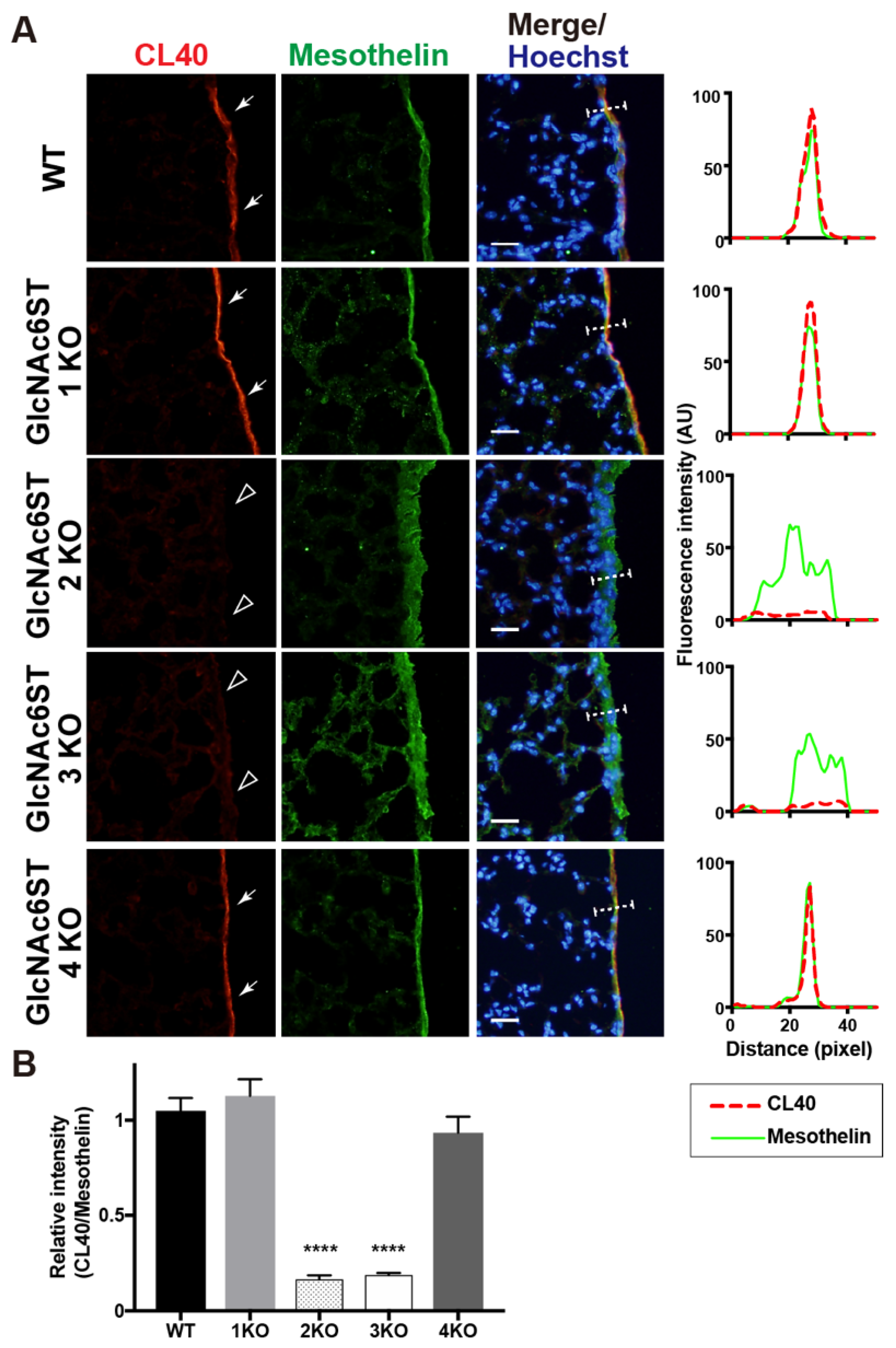 Molecules 27 04543 g003 Molecules 27 04543 g003