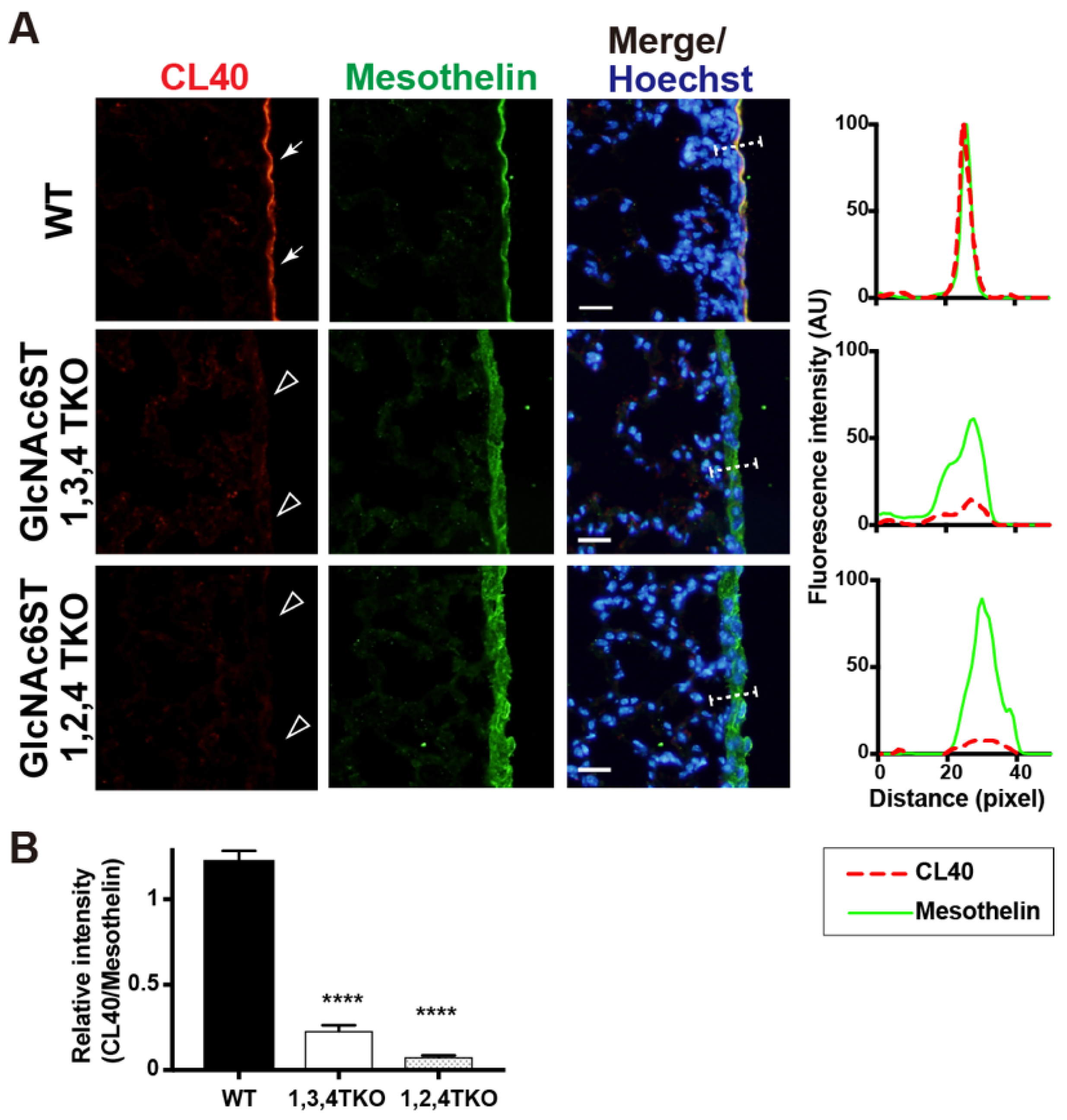 Molecules 27 04543 g004 Molecules 27 04543 g004