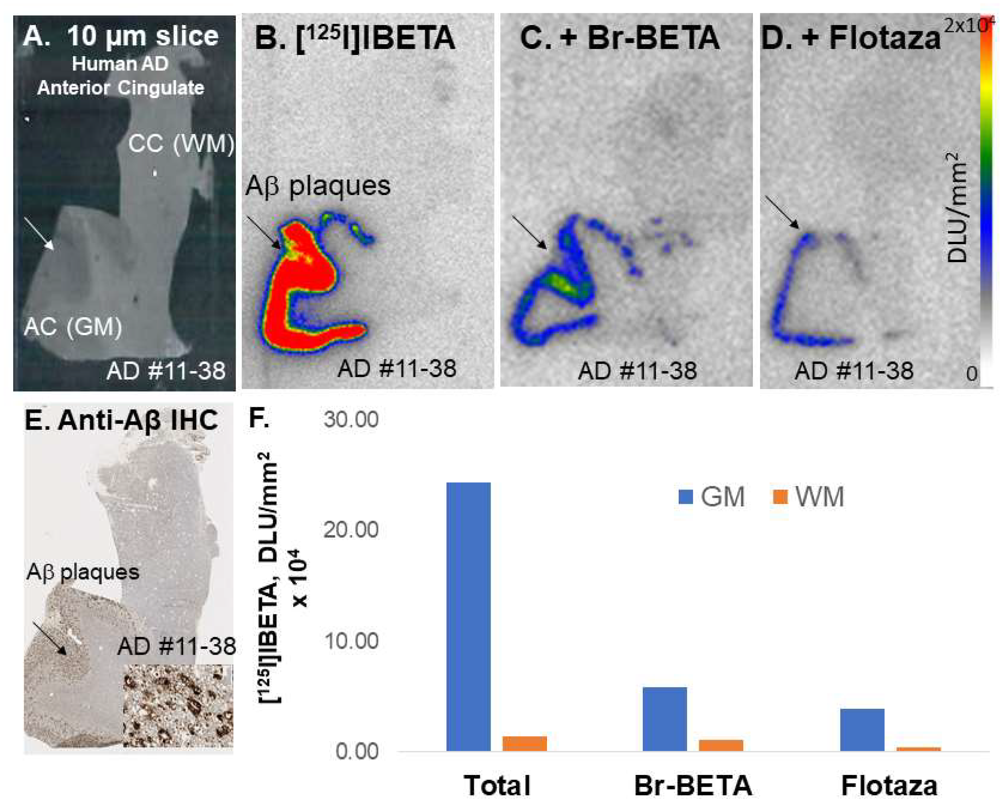 Molecules 27 04552 g004