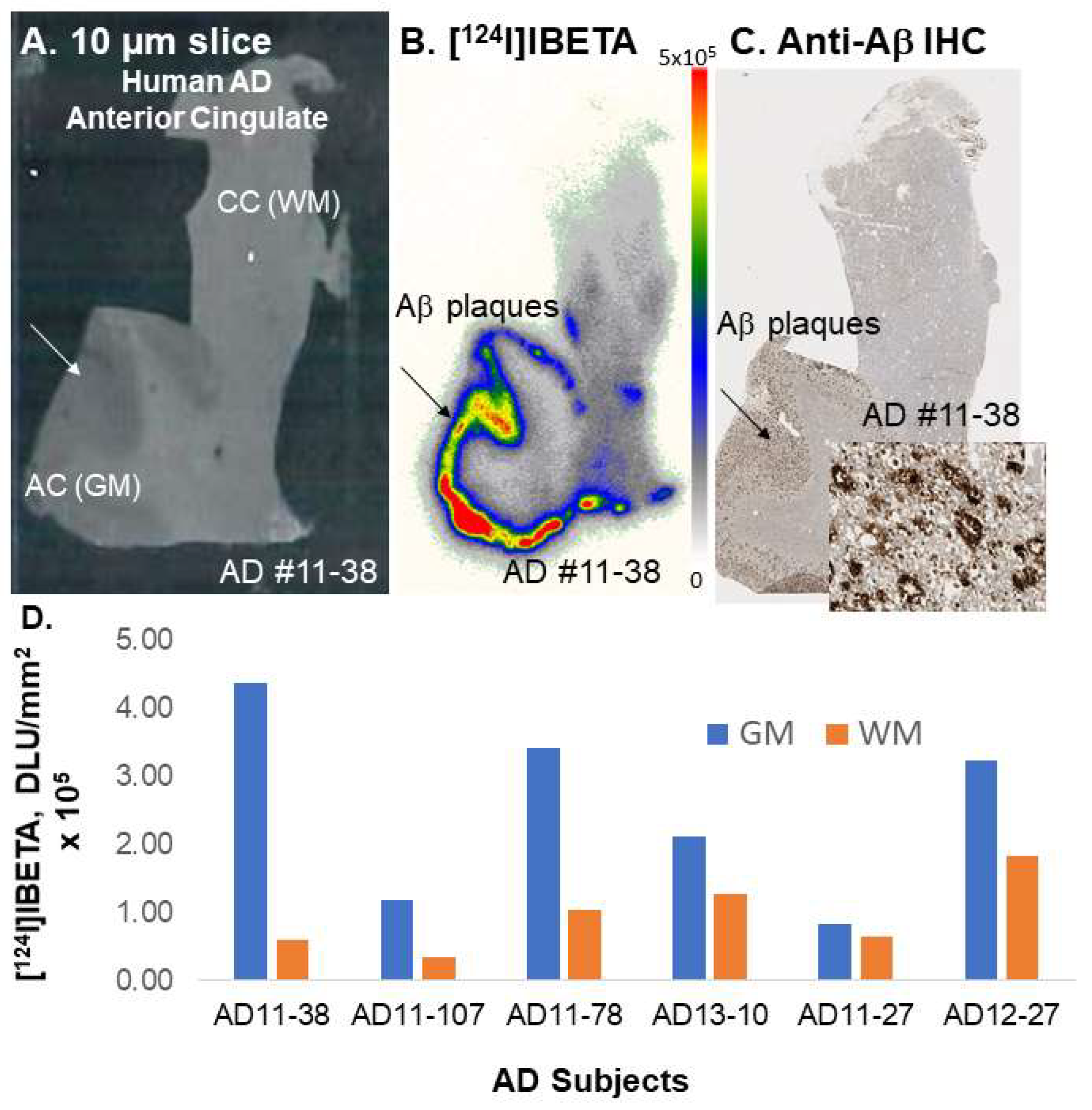 Molecules 27 04552 g007