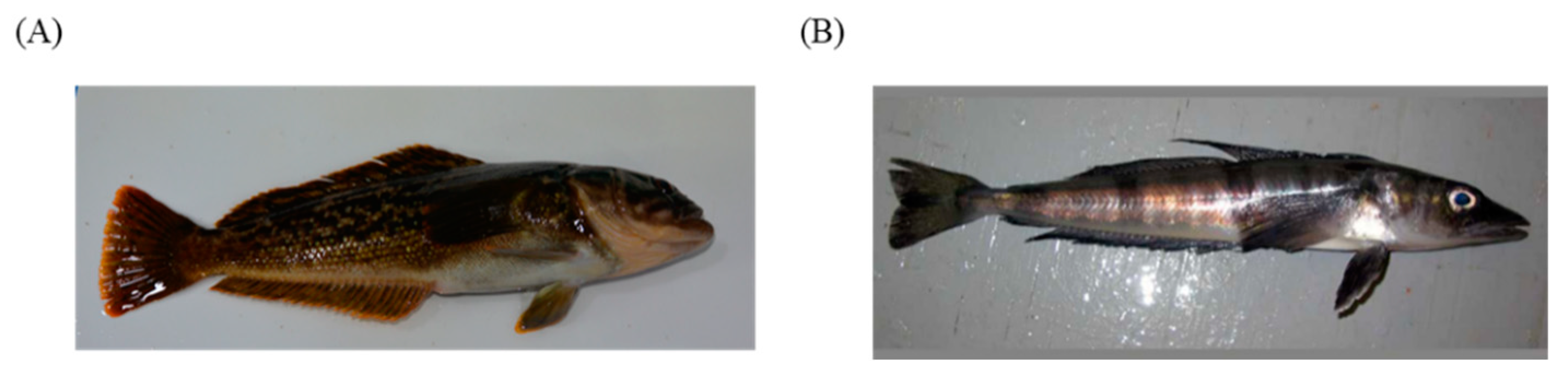 Molecules 27 04554 g001