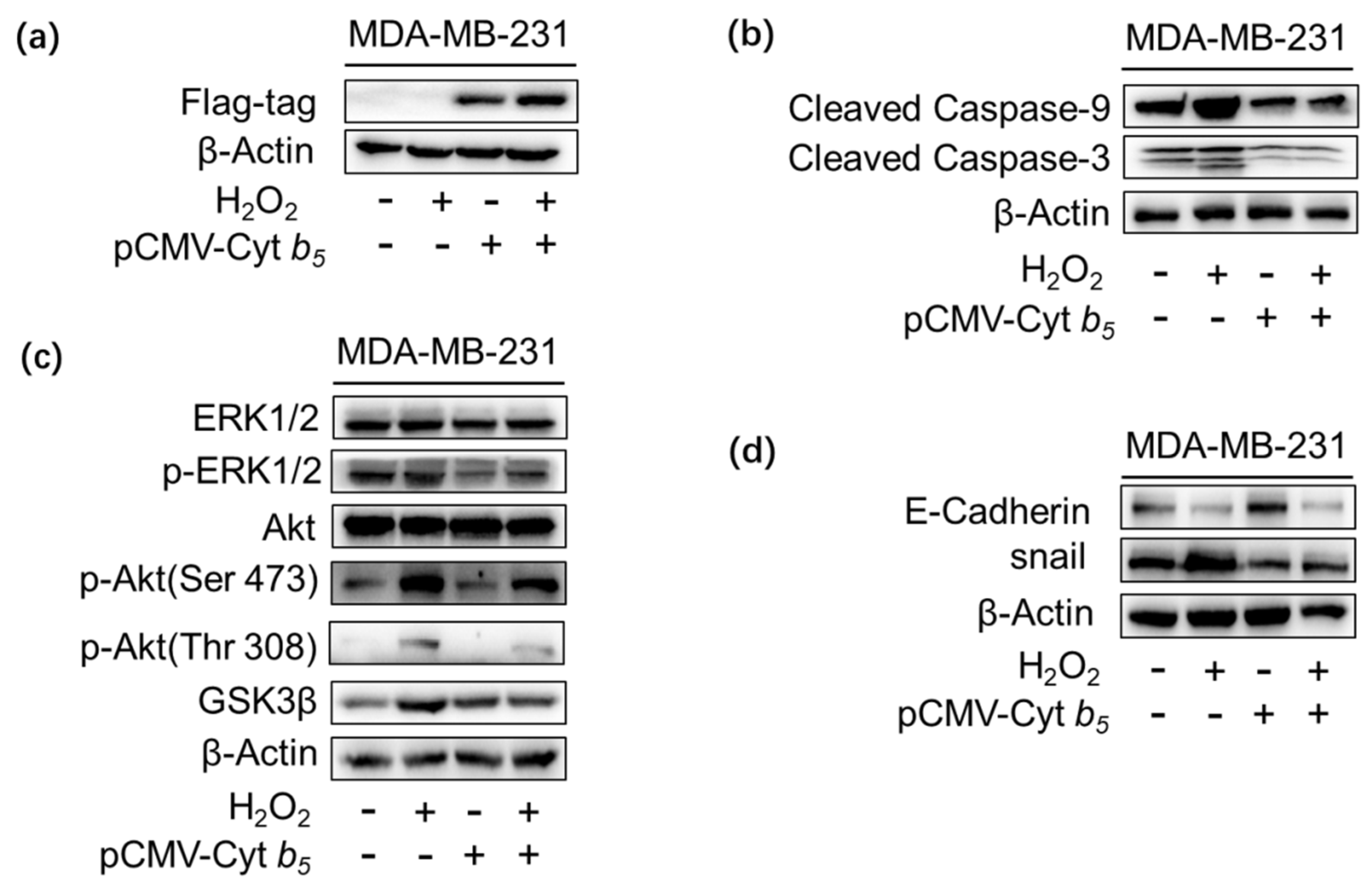 Molecules 27 04556 g004