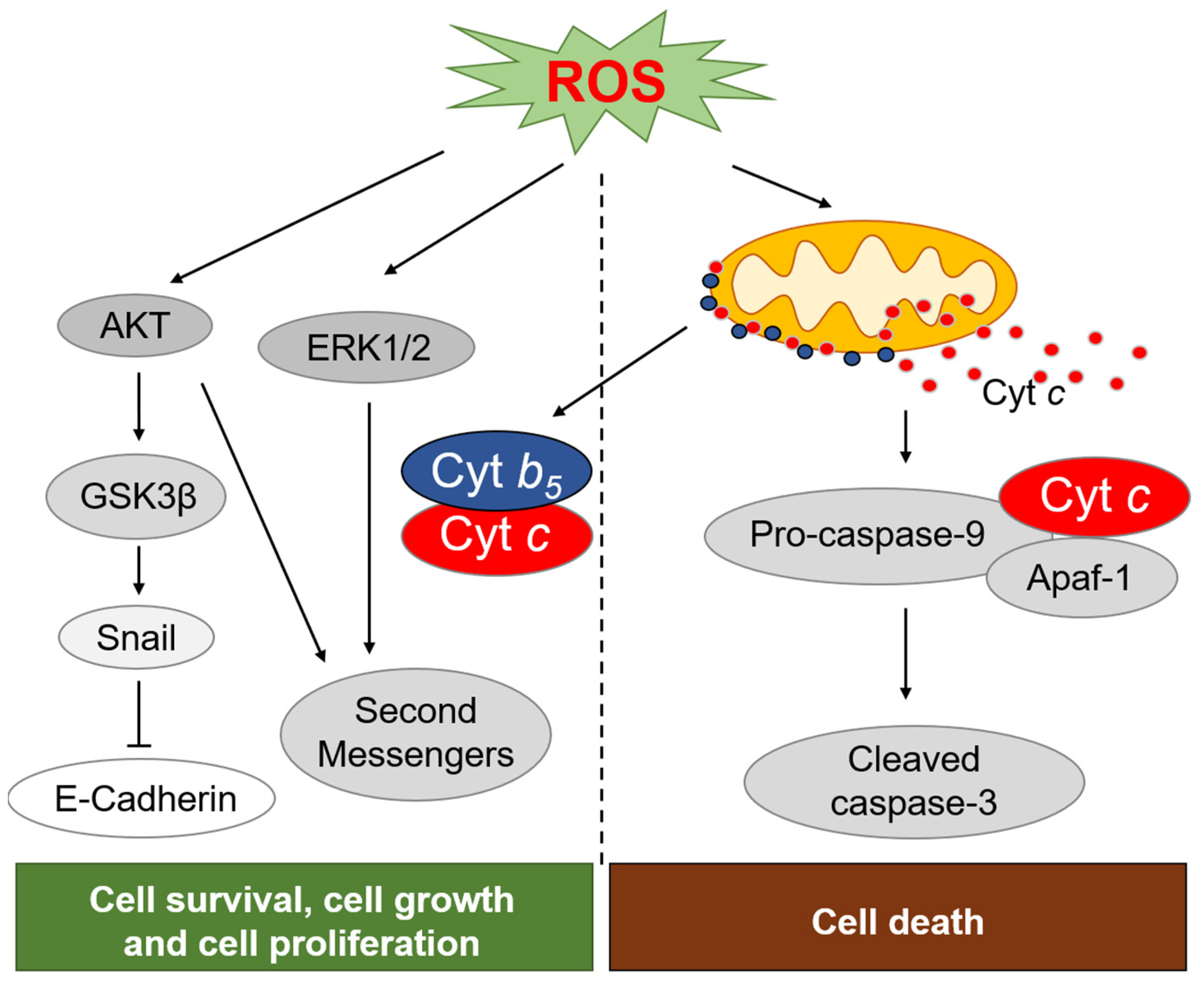 Molecules 27 04556 sch001