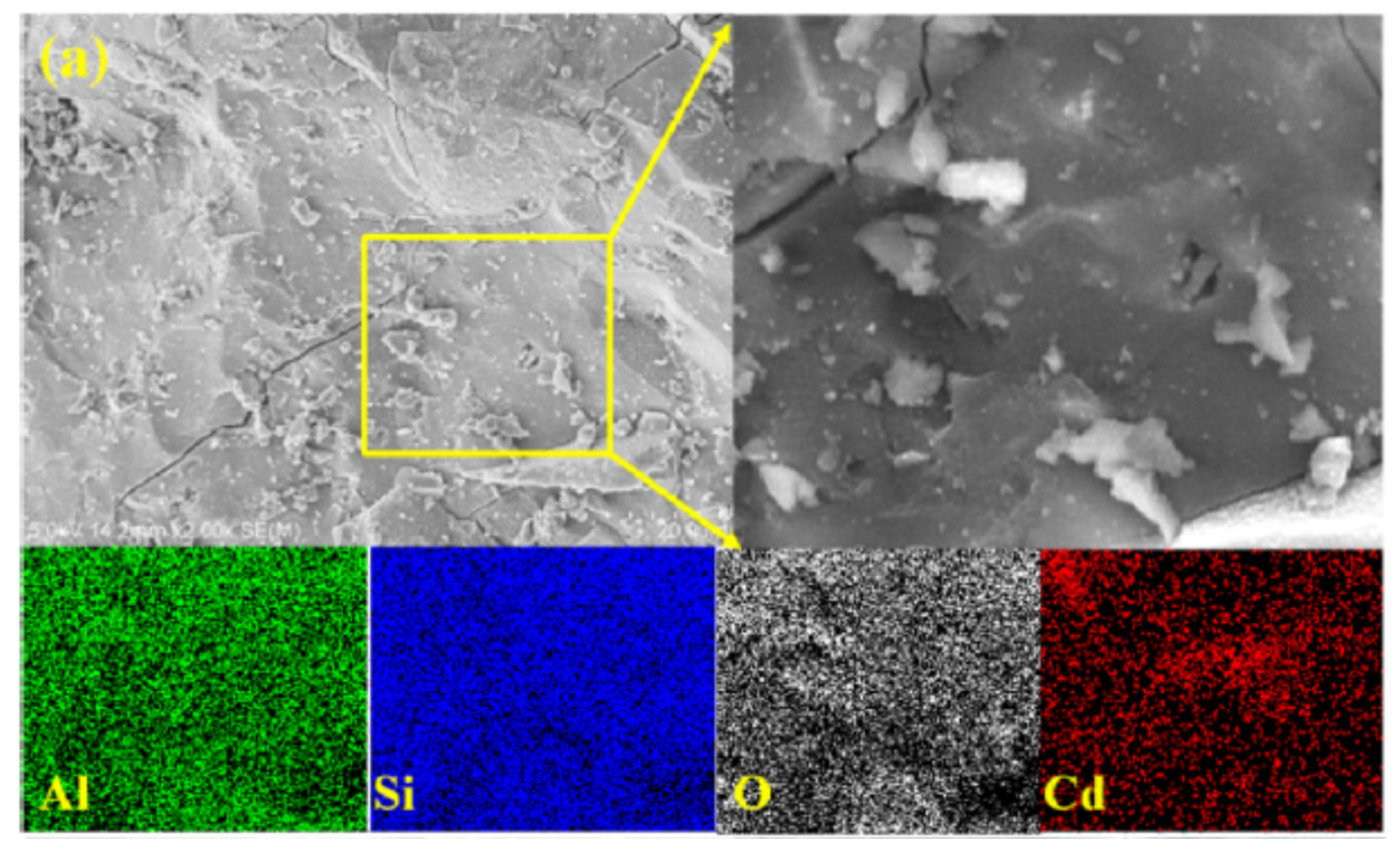 Molecules 27 04570 g002