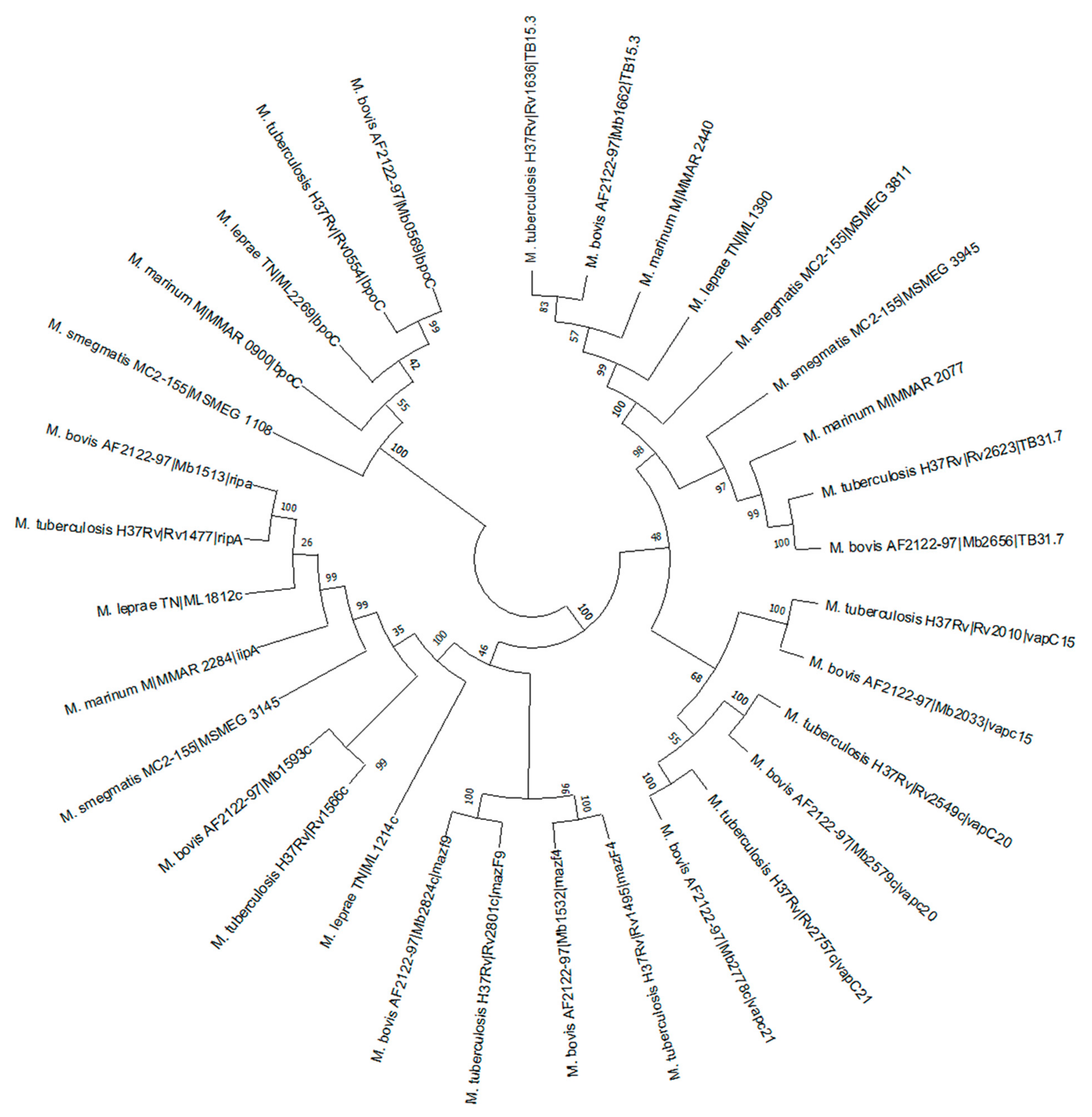 Molecules 27 04581 g005 Molecules 27 04581 g005