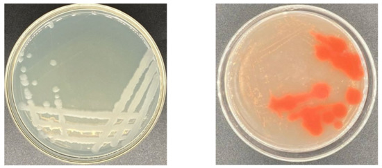 Enhancing the Activity of Carboxymethyl Cellulase Enzyme