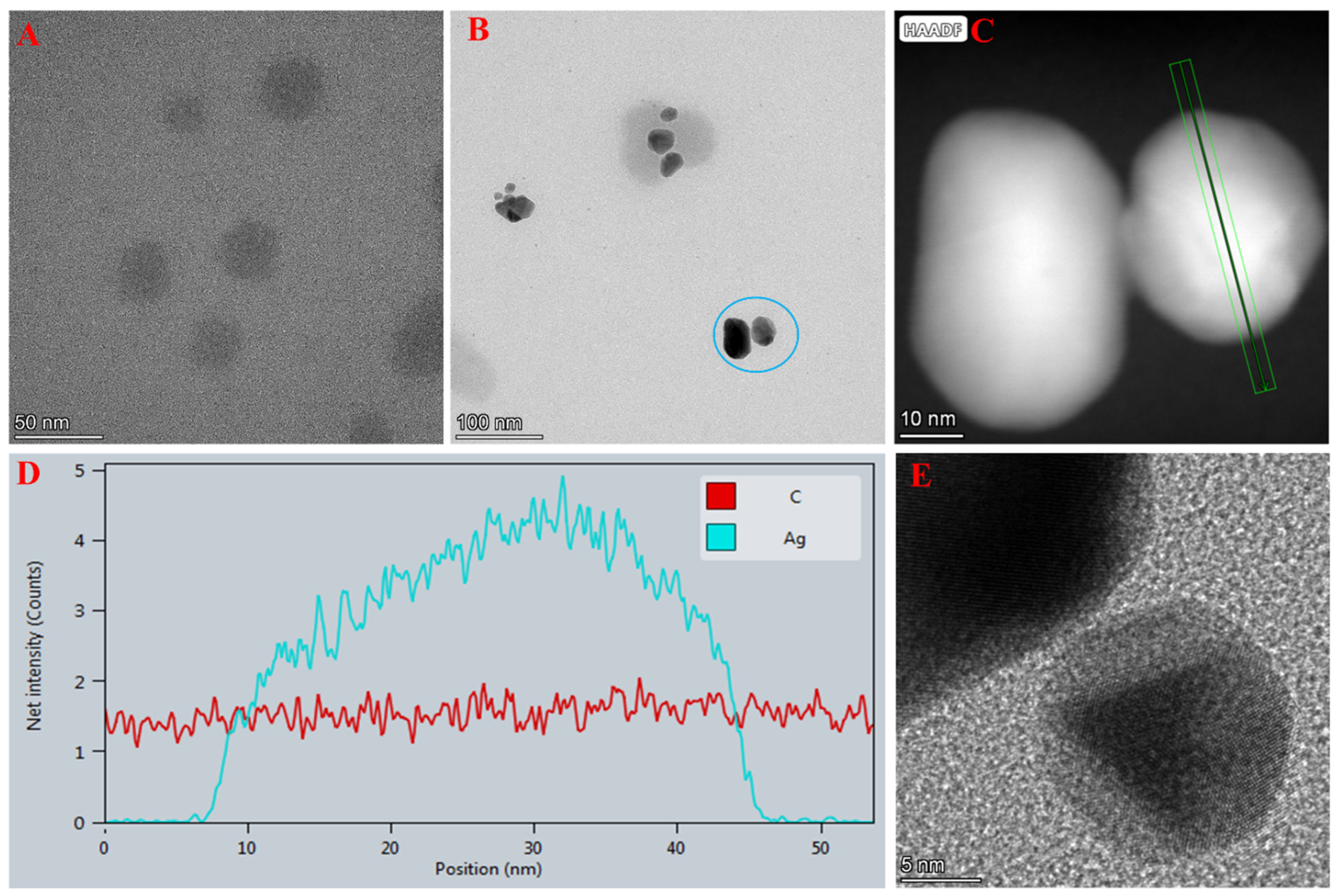 Molecules 27 04586 g001