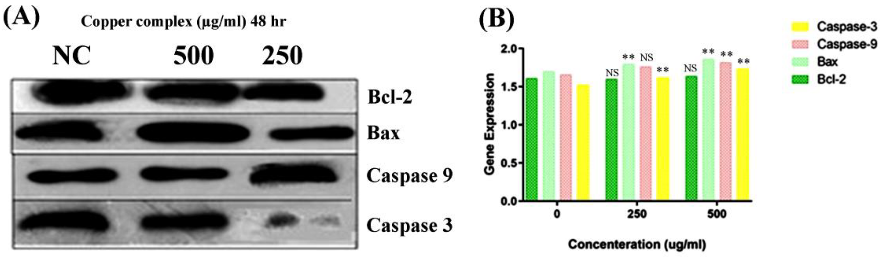 Molecules 27 04597 g009 550