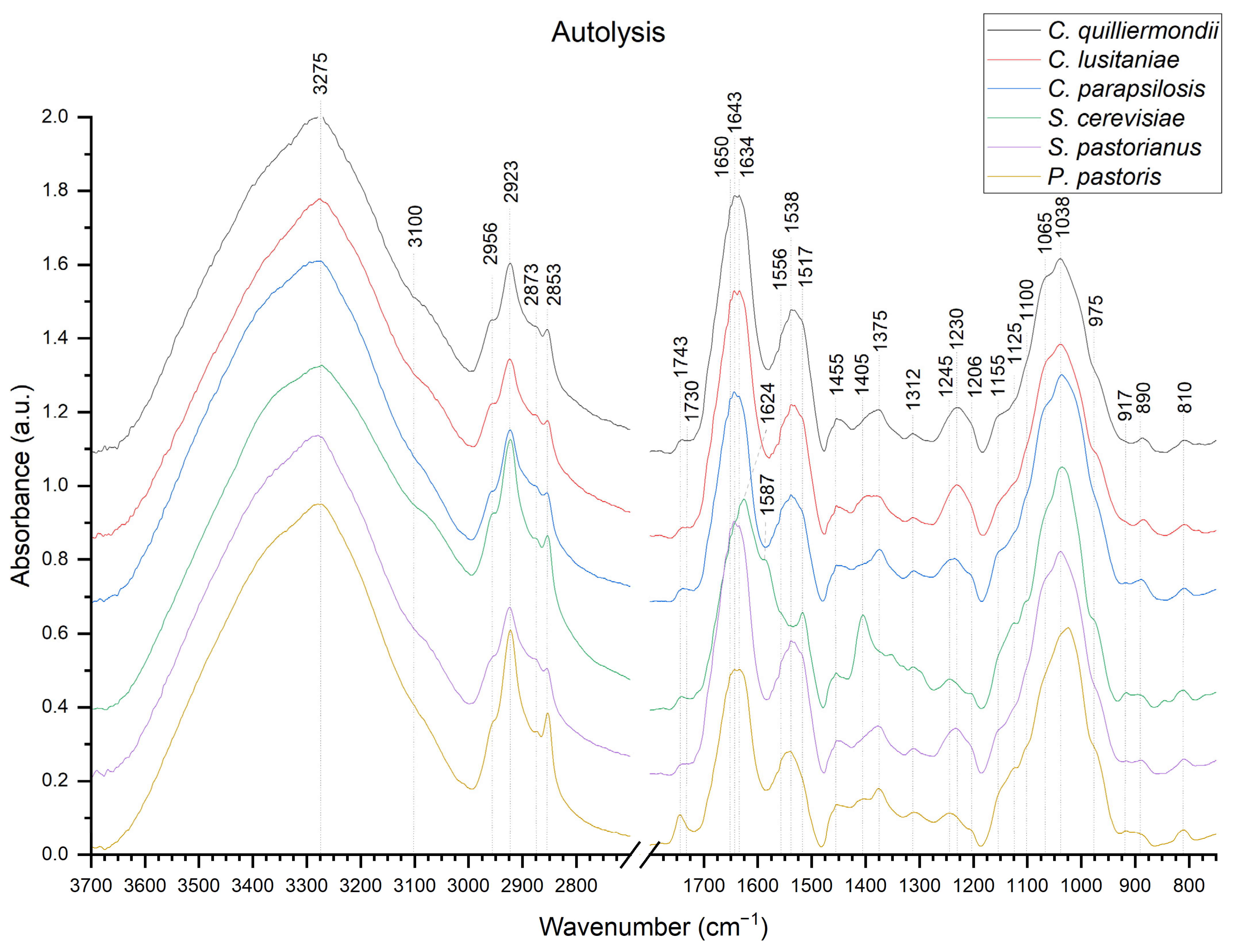 Molecules 27 04616 g002 Molecules 27 04616 g002