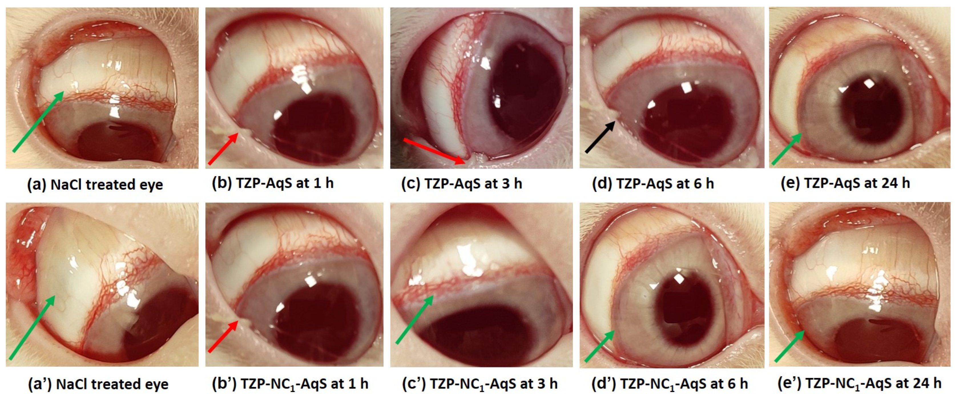 Molecules 27 04619 g002