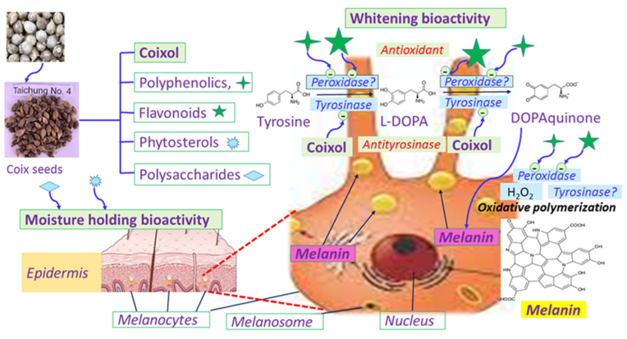 Molecules 27 04626 g002 550