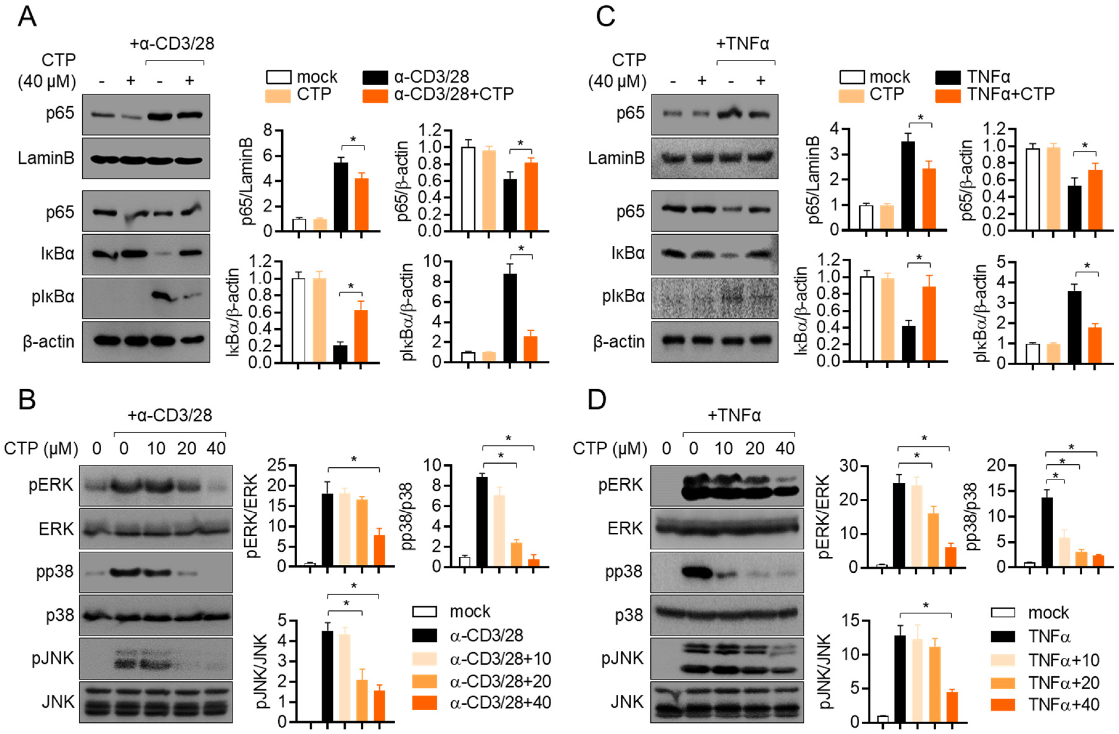 Molecules 27 04633 g005 Molecules 27 04633 g005